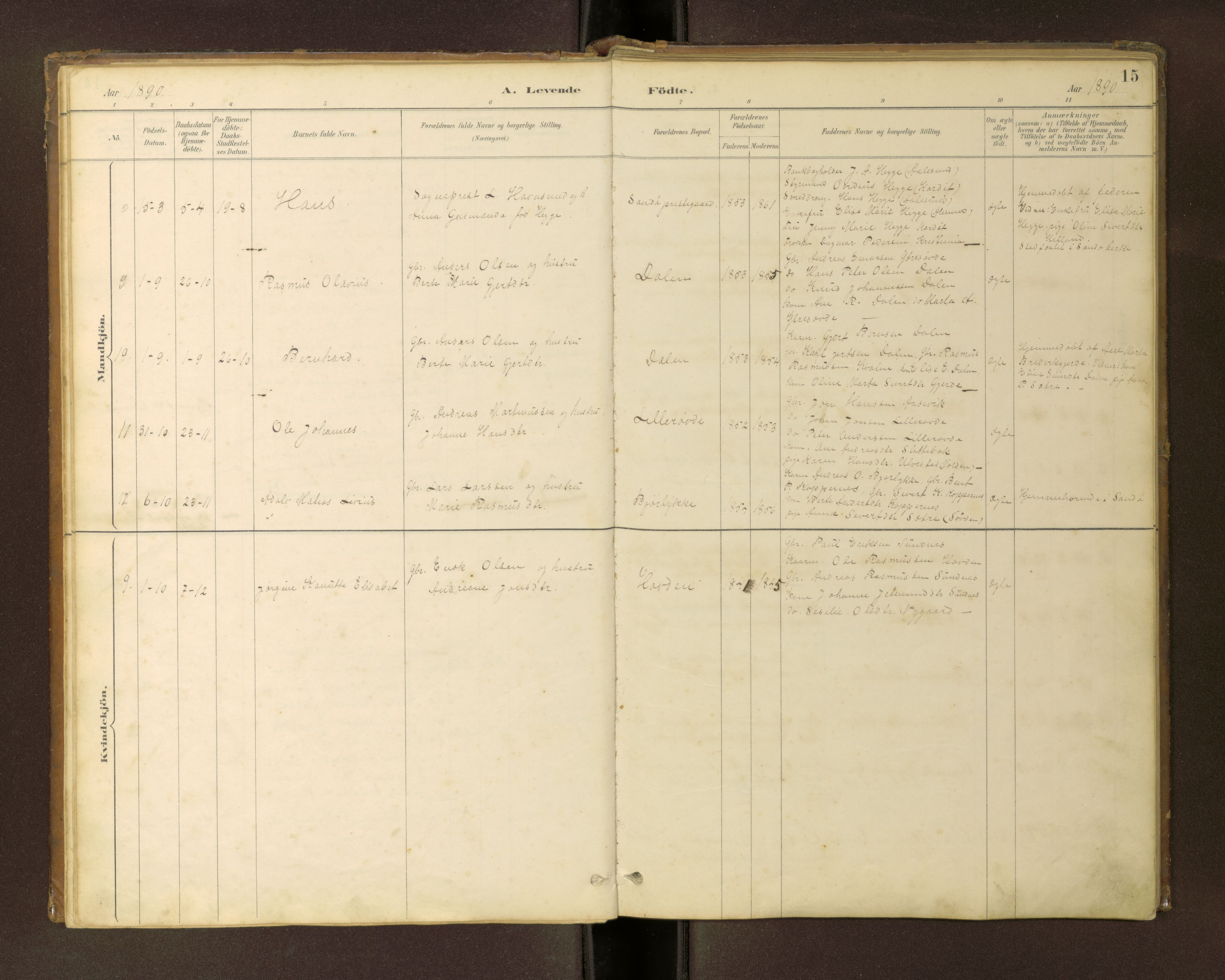 Ministerialprotokoller, klokkerbøker og fødselsregistre - Møre og Romsdal, AV/SAT-A-1454/504/L0060: Klokkerbok nr. 504C02, 1884-1903, s. 15