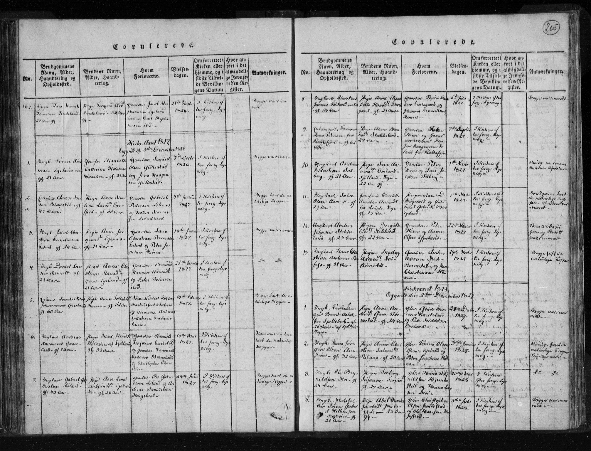 Kvinesdal sokneprestkontor, SAK/1111-0026/F/Fa/Fab/L0003: Ministerialbok nr. A 3, 1815-1829, s. 205