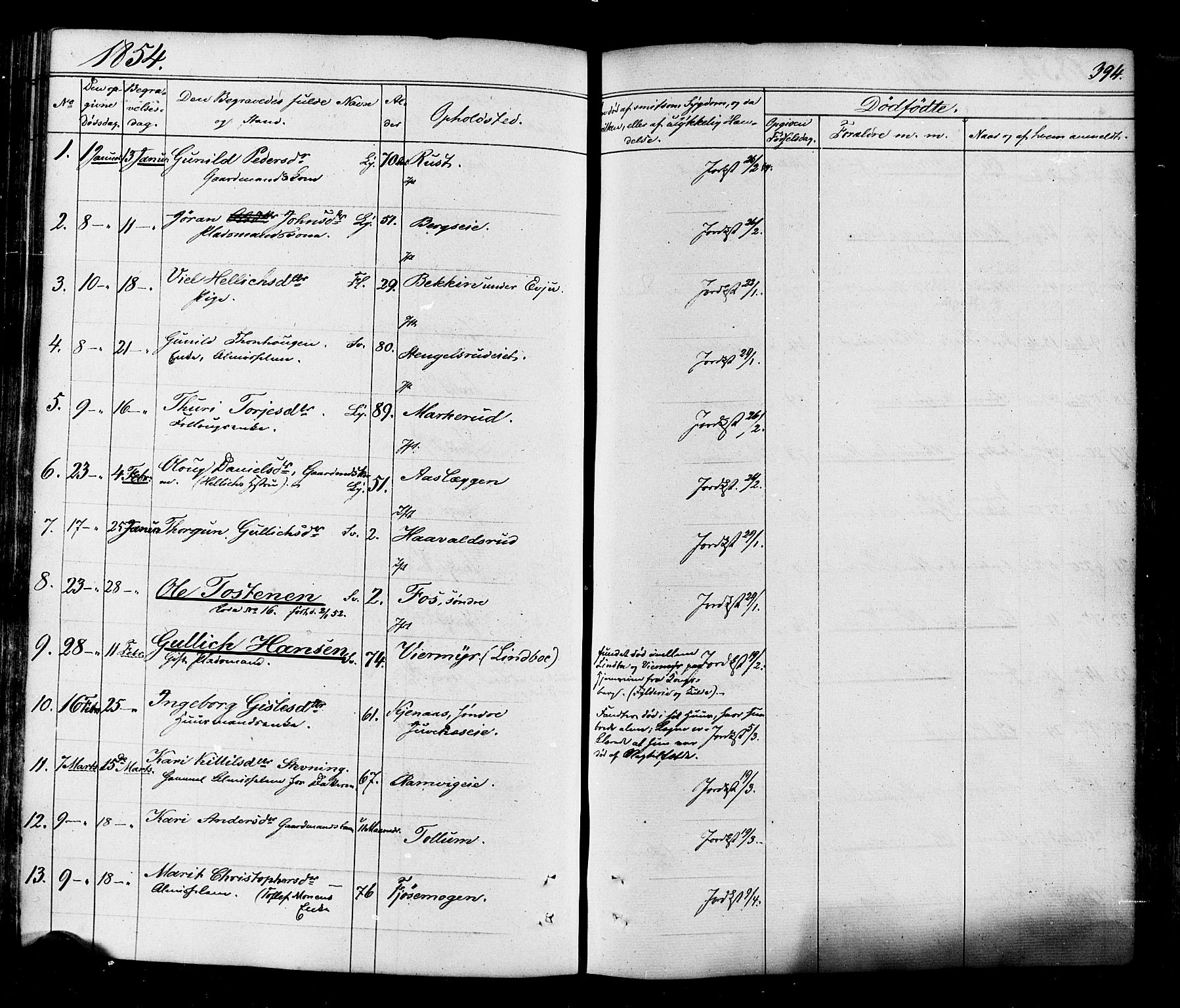 Flesberg kirkebøker, AV/SAKO-A-18/F/Fa/L0006: Ministerialbok nr. I 6, 1834-1860, s. 394