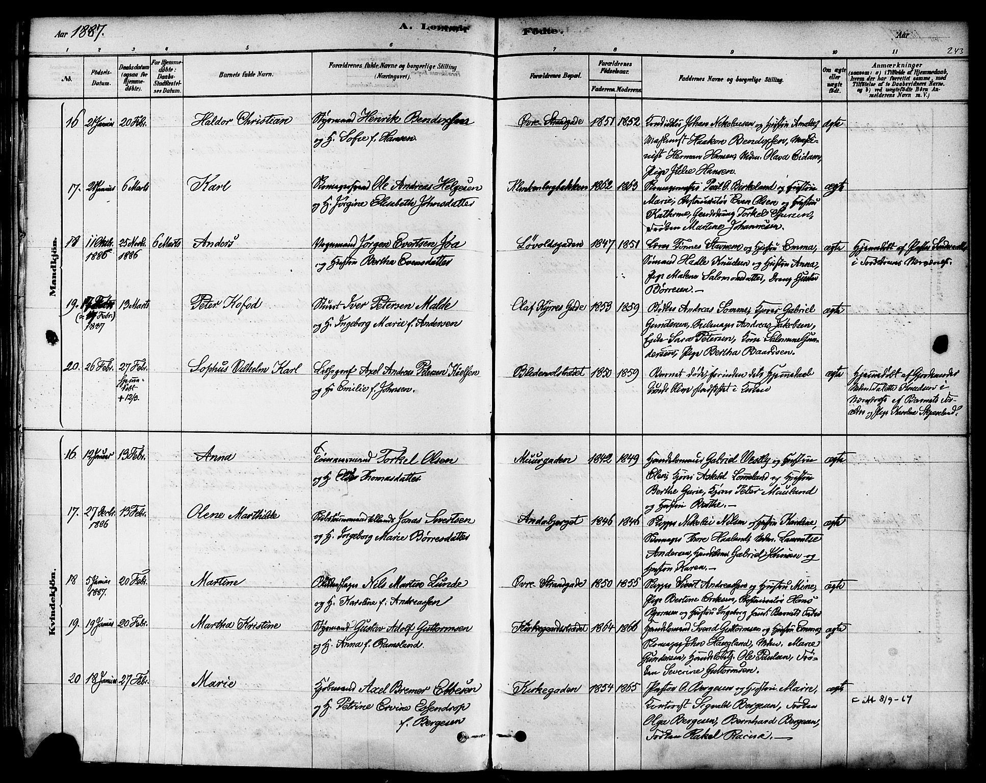 Domkirken sokneprestkontor, AV/SAST-A-101812/001/30/30BA/L0026: Ministerialbok nr. A 25, 1878-1889, s. 243