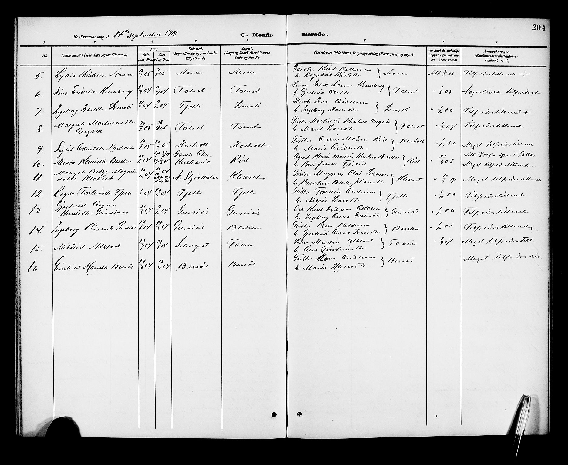 Ministerialprotokoller, klokkerbøker og fødselsregistre - Møre og Romsdal, AV/SAT-A-1454/551/L0632: Klokkerbok nr. 551C04, 1894-1920, s. 204