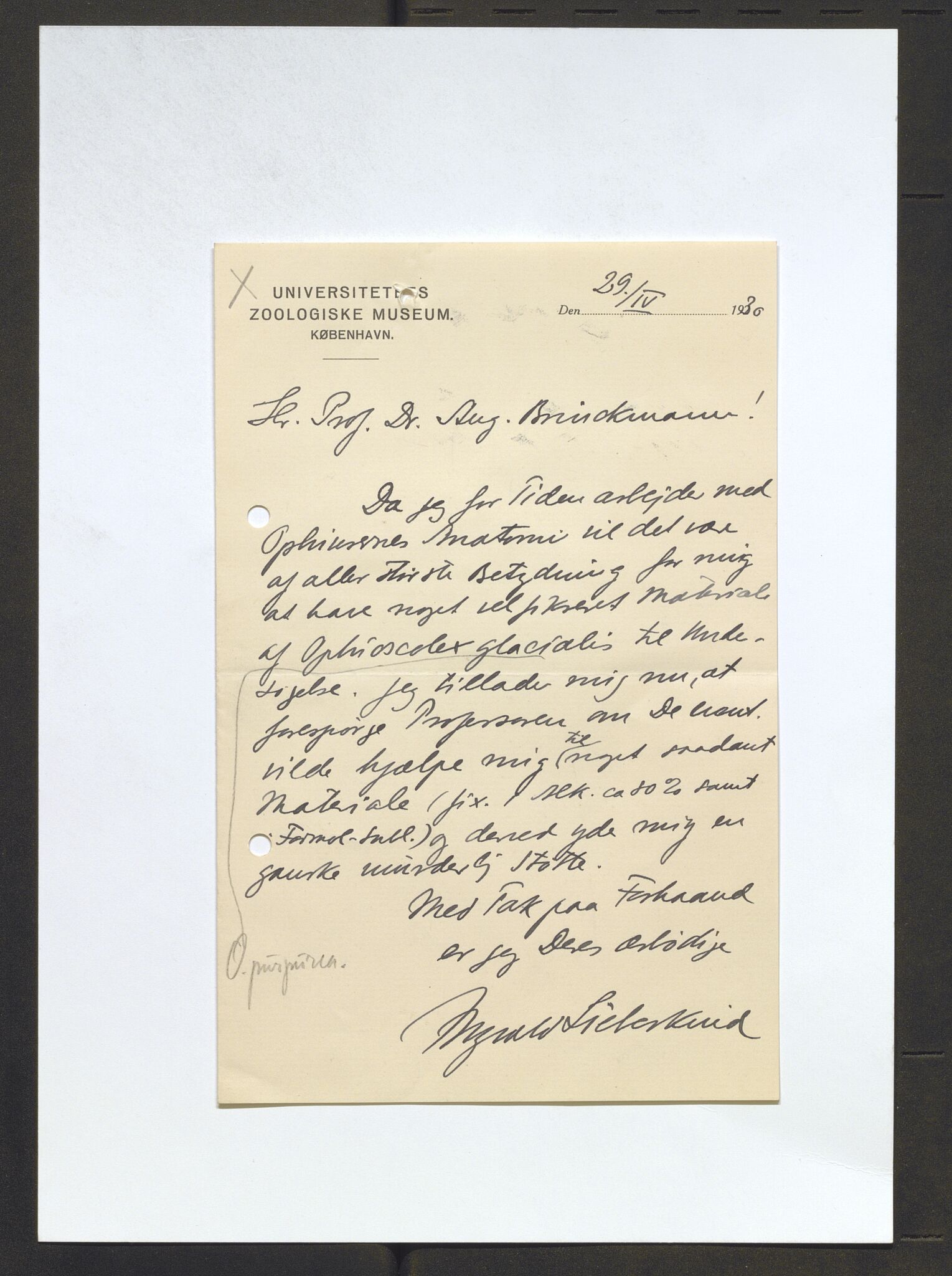 Bergens Museum, AV/SAB-A-17301/13/D/L0002: Korrespondanse , 1928-1940, s. 140