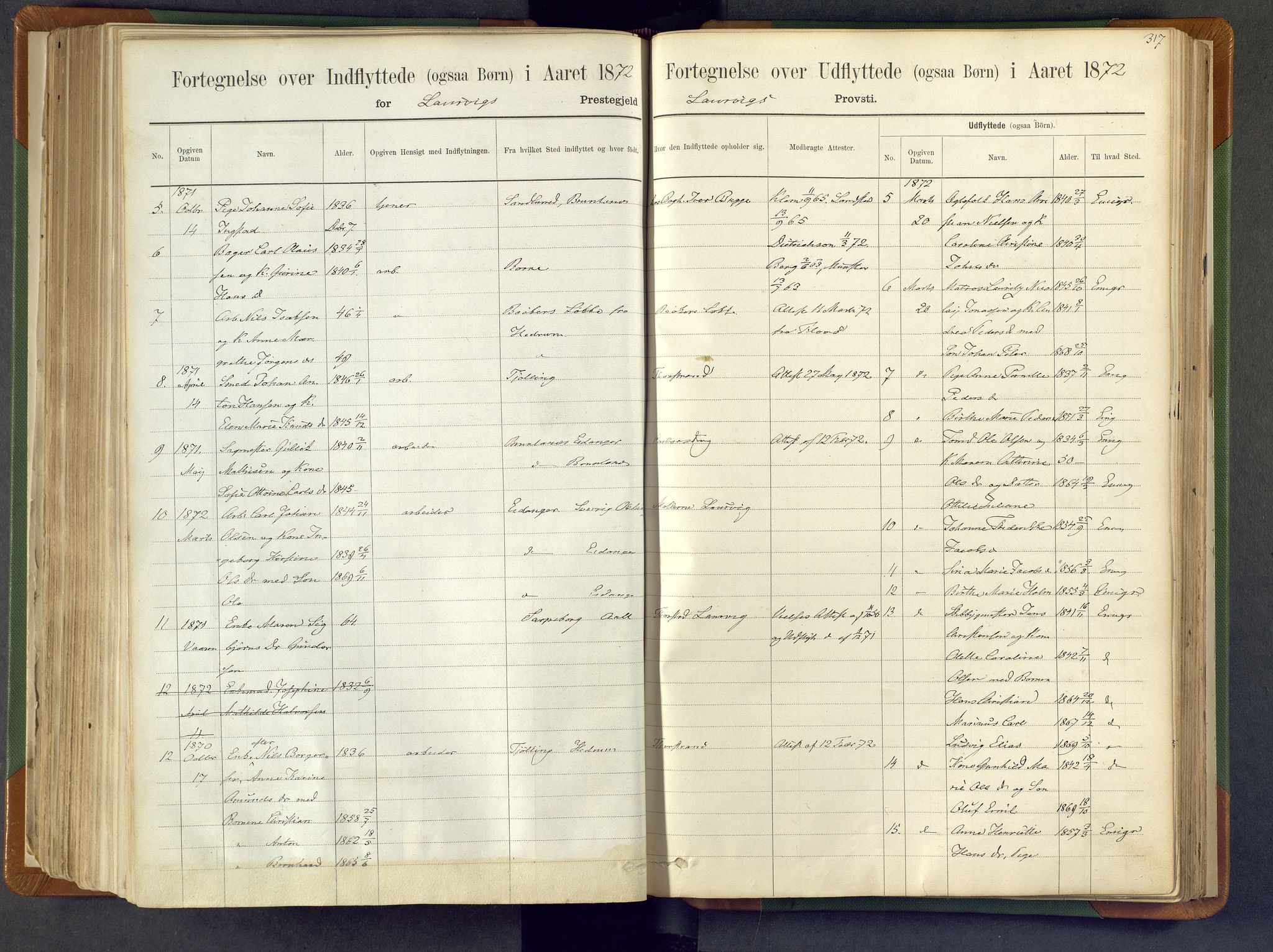 Larvik kirkebøker, SAKO/A-352/F/Fa/L0007: Ministerialbok nr. I 7, 1871-1883, s. 317