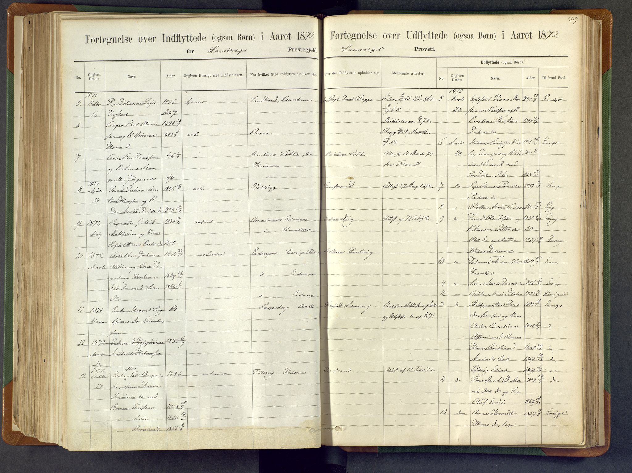 Larvik kirkebøker, AV/SAKO-A-352/F/Fa/L0007: Ministerialbok nr. I 7, 1871-1883, s. 317