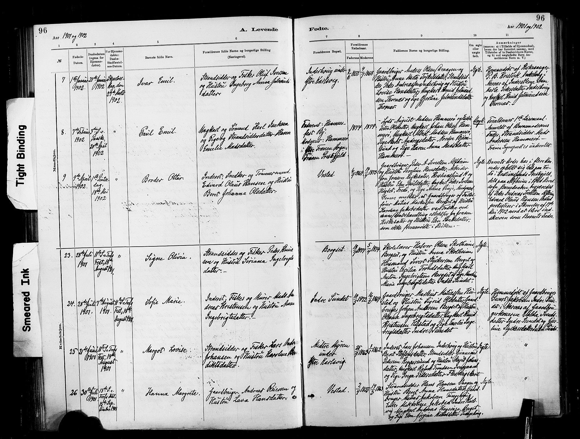 Ministerialprotokoller, klokkerbøker og fødselsregistre - Møre og Romsdal, AV/SAT-A-1454/566/L0769: Ministerialbok nr. 566A08, 1881-1903, s. 96