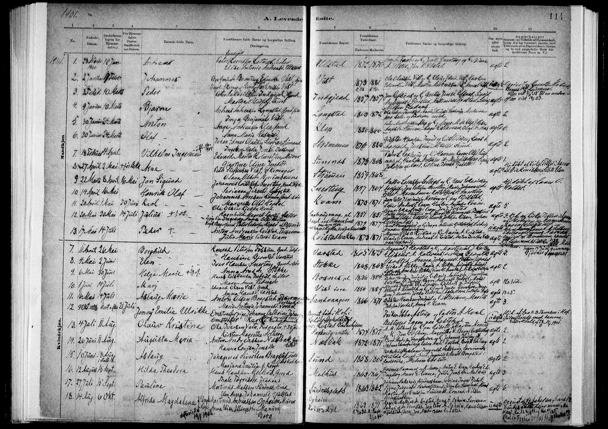 Ministerialprotokoller, klokkerbøker og fødselsregistre - Nord-Trøndelag, AV/SAT-A-1458/730/L0285: Ministerialbok nr. 730A10, 1879-1914, s. 114