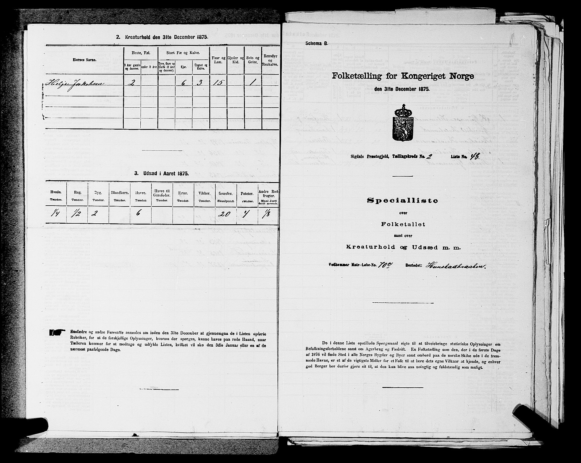 SAKO, Folketelling 1875 for 0621P Sigdal prestegjeld, 1875, s. 406