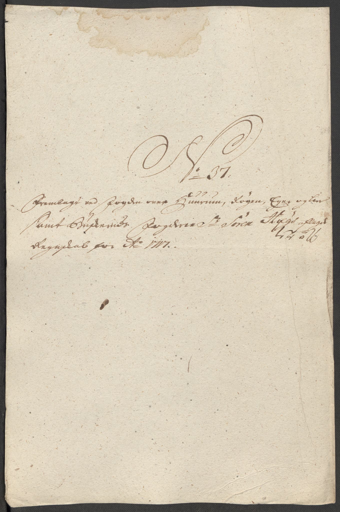 Rentekammeret inntil 1814, Reviderte regnskaper, Fogderegnskap, AV/RA-EA-4092/R31/L1711: Fogderegnskap Hurum, Røyken, Eiker, Lier og Buskerud, 1717, s. 320