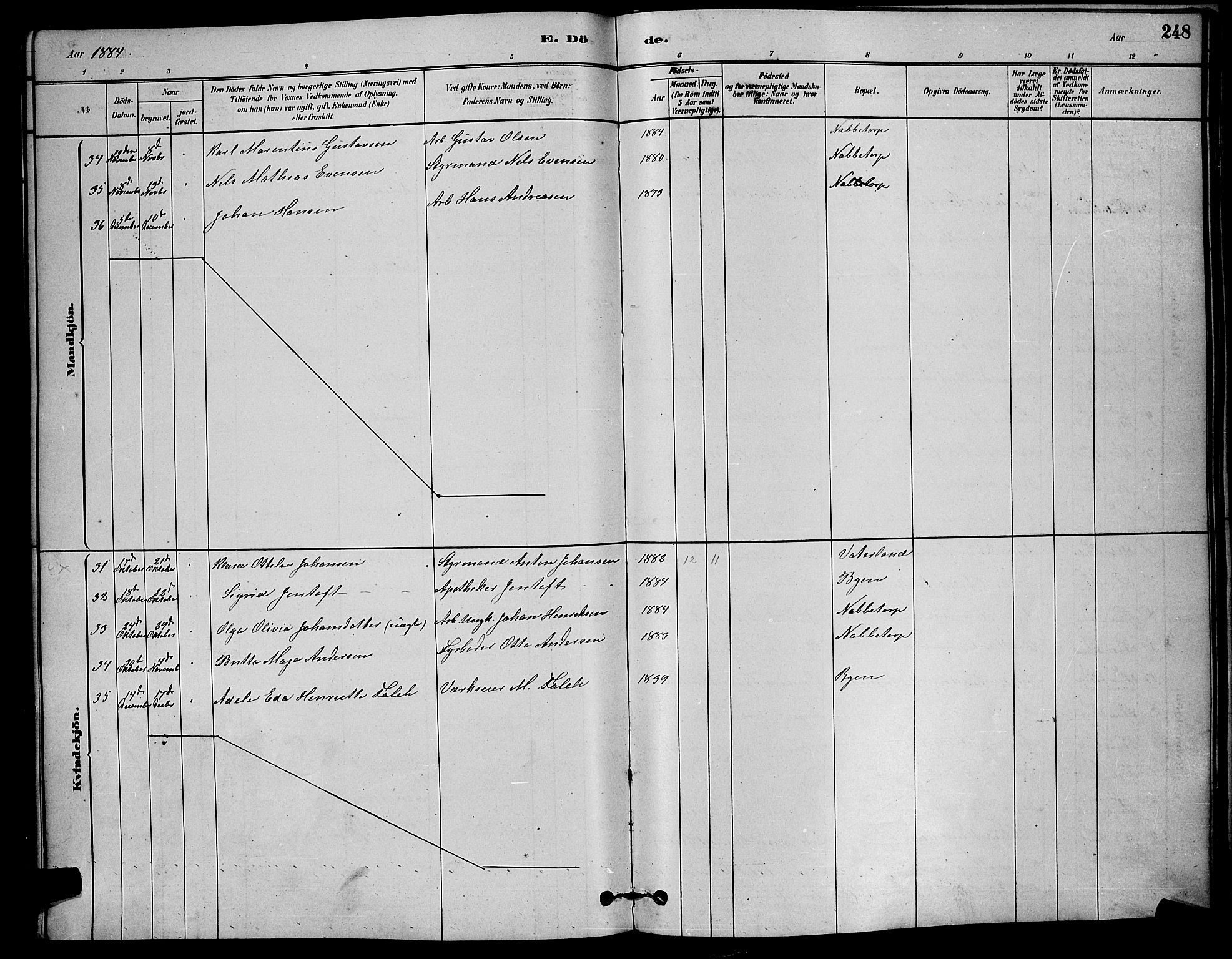 Østre Fredrikstad prestekontor Kirkebøker, AV/SAO-A-10907/G/Ga/L0001: Klokkerbok nr. 1, 1880-1899, s. 248