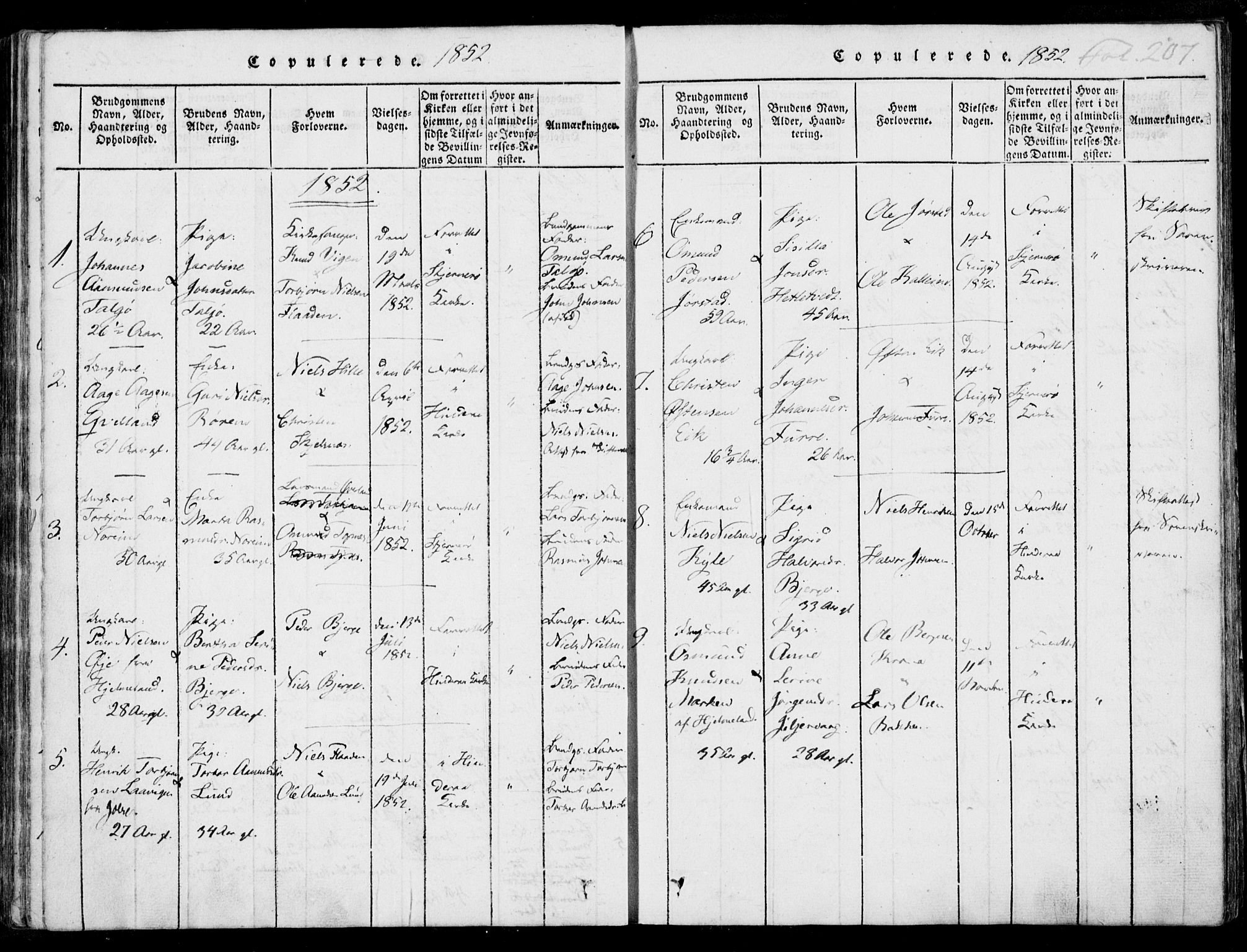 Nedstrand sokneprestkontor, SAST/A-101841/01/IV: Ministerialbok nr. A 7, 1816-1870, s. 207