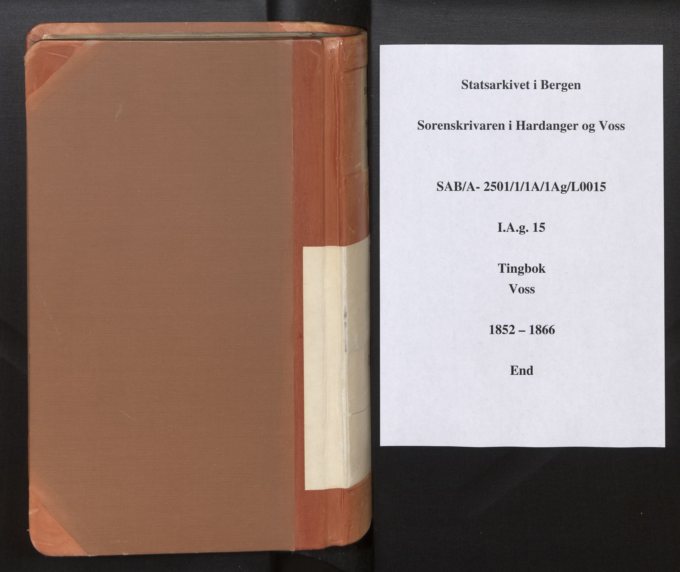 Hardanger og Voss sorenskriveri, AV/SAB-A-2501/1/1A/1Ag/L0015: Tingbok for Voss, 1852-1866