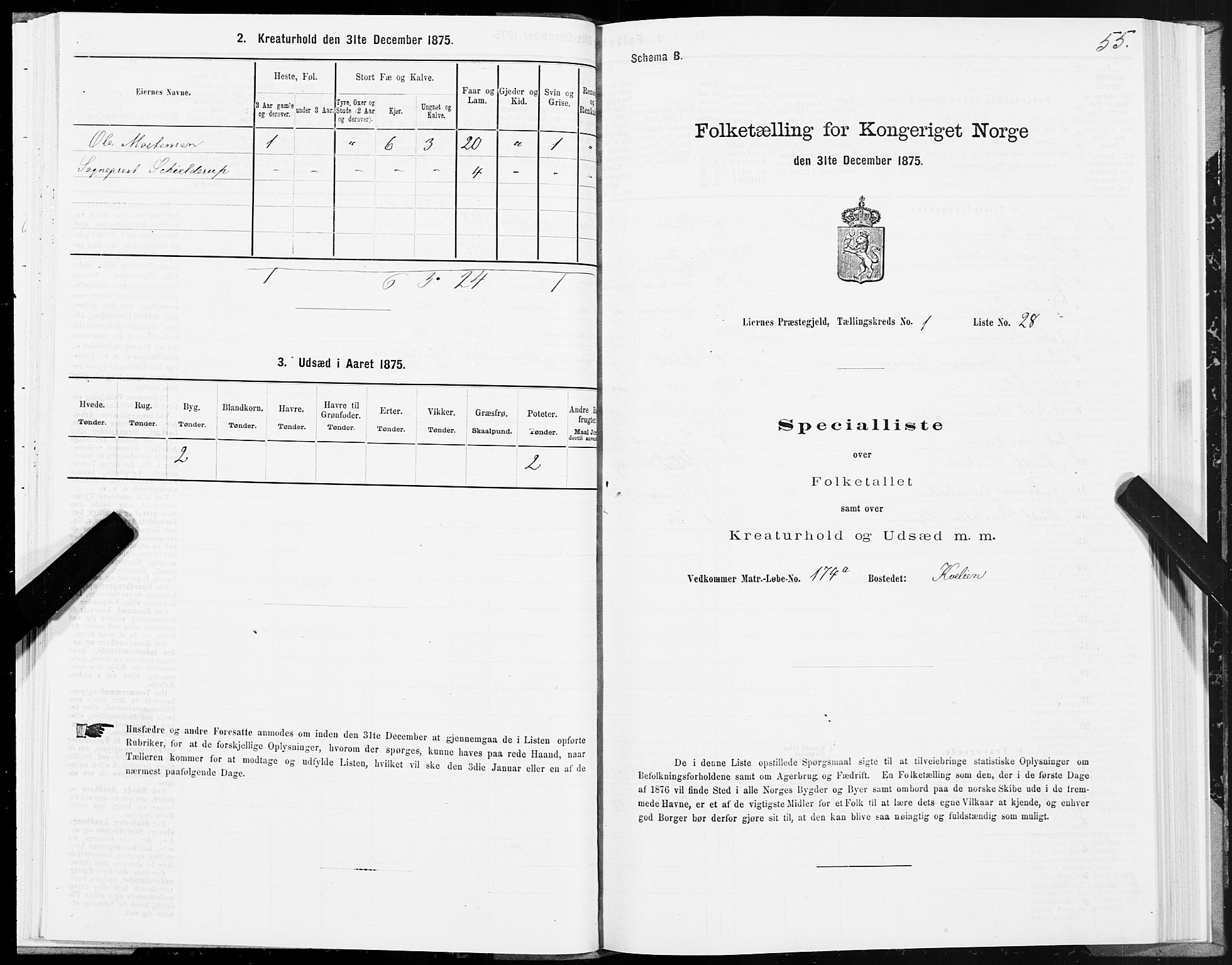 SAT, Folketelling 1875 for 1737P Lierne prestegjeld, 1875, s. 1055