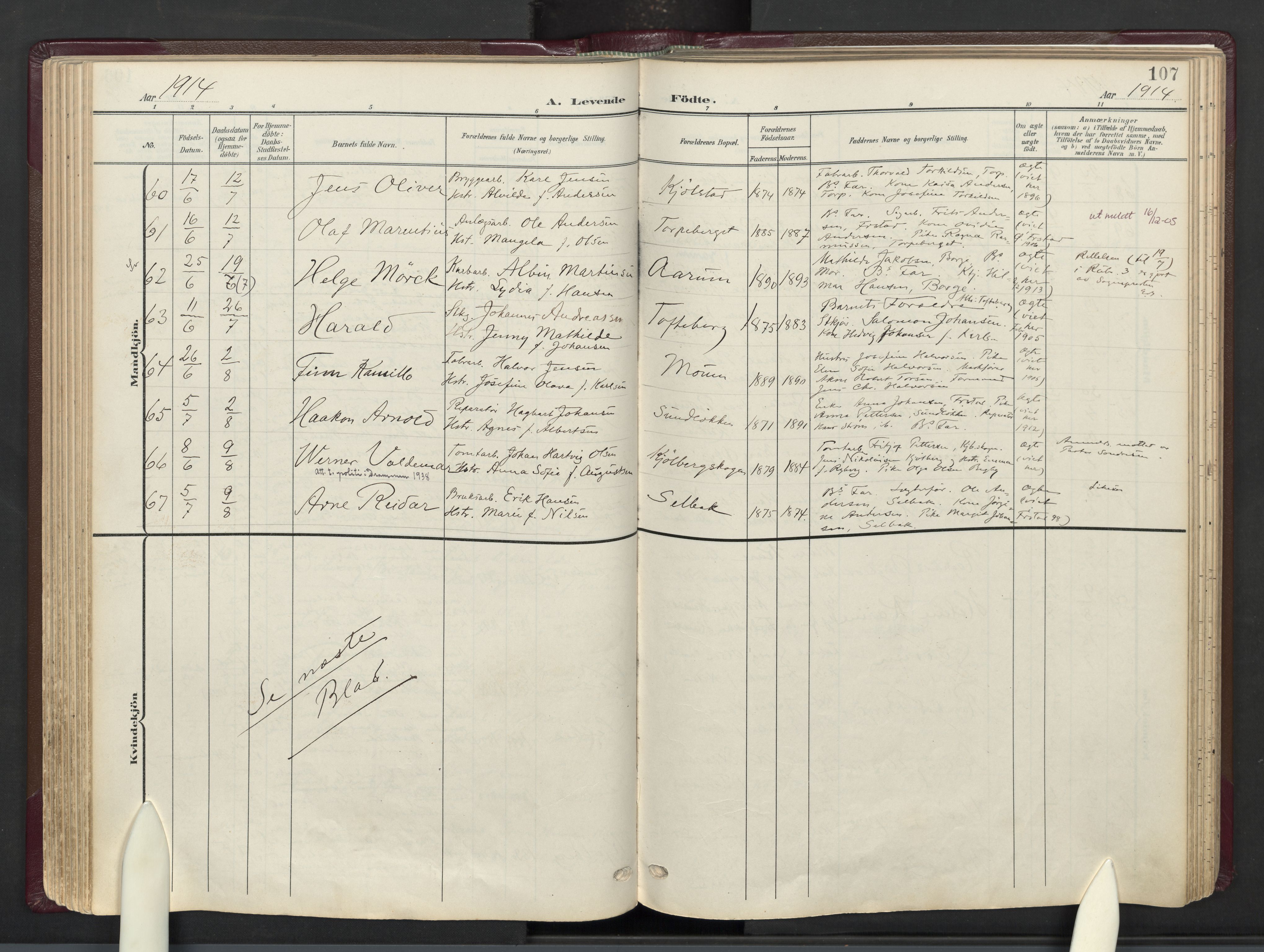 Borge prestekontor Kirkebøker, AV/SAO-A-10903/F/Fa/L0010: Ministerialbok nr. I 10, 1907-1925, s. 107