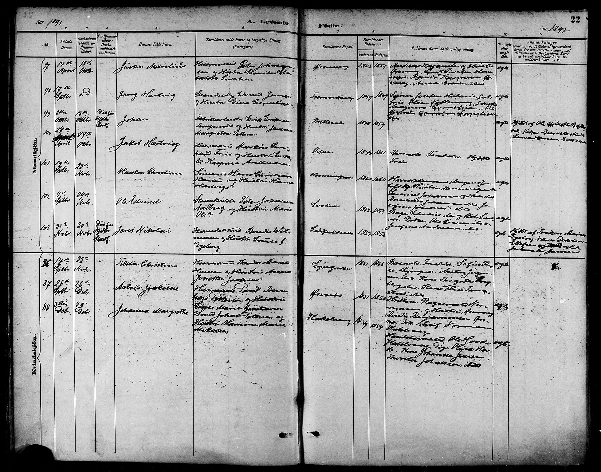 Ministerialprotokoller, klokkerbøker og fødselsregistre - Nordland, SAT/A-1459/874/L1060: Ministerialbok nr. 874A04, 1890-1899, s. 22