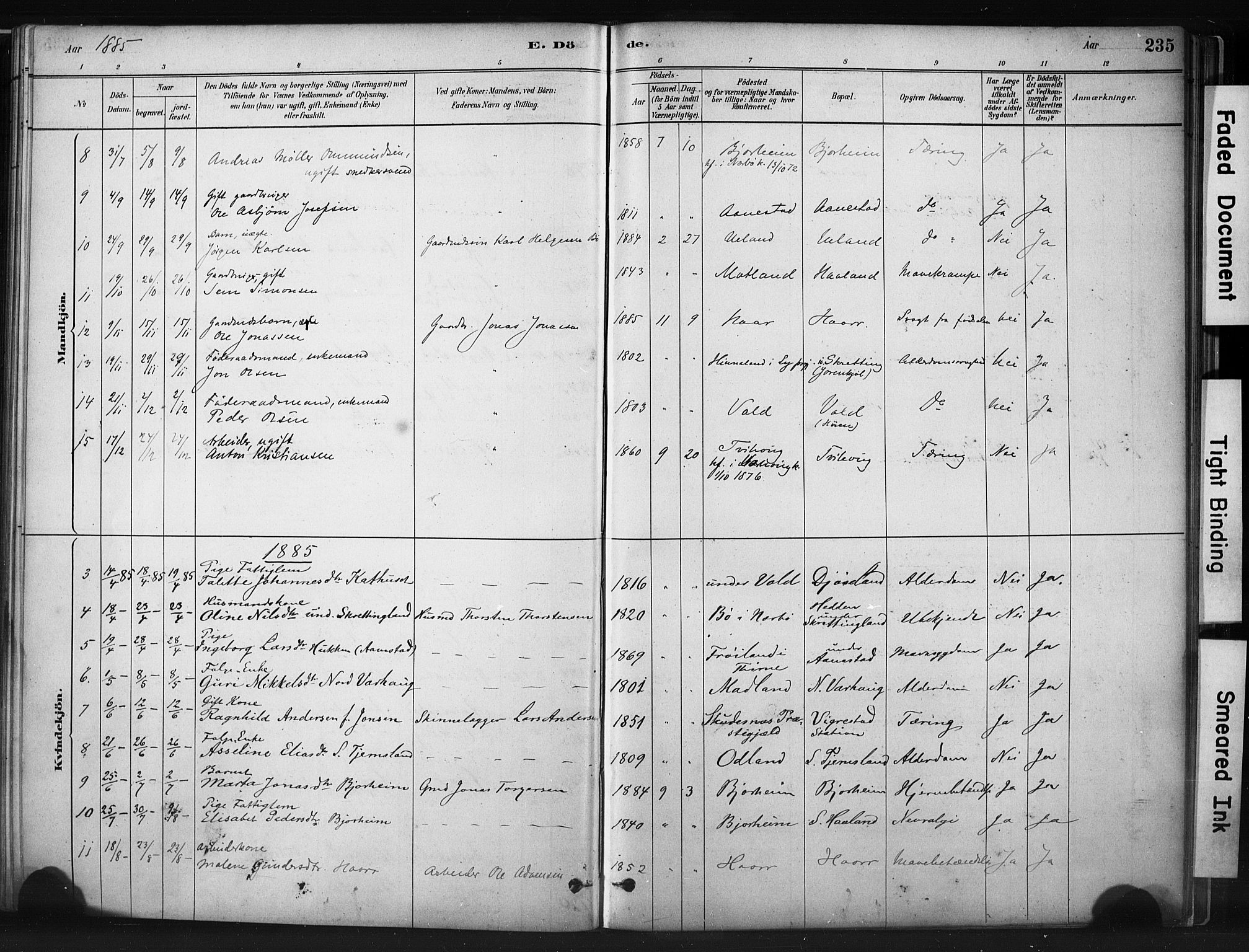 Hå sokneprestkontor, AV/SAST-A-101801/001/30BA/L0011: Ministerialbok nr. A 10, 1879-1900, s. 235