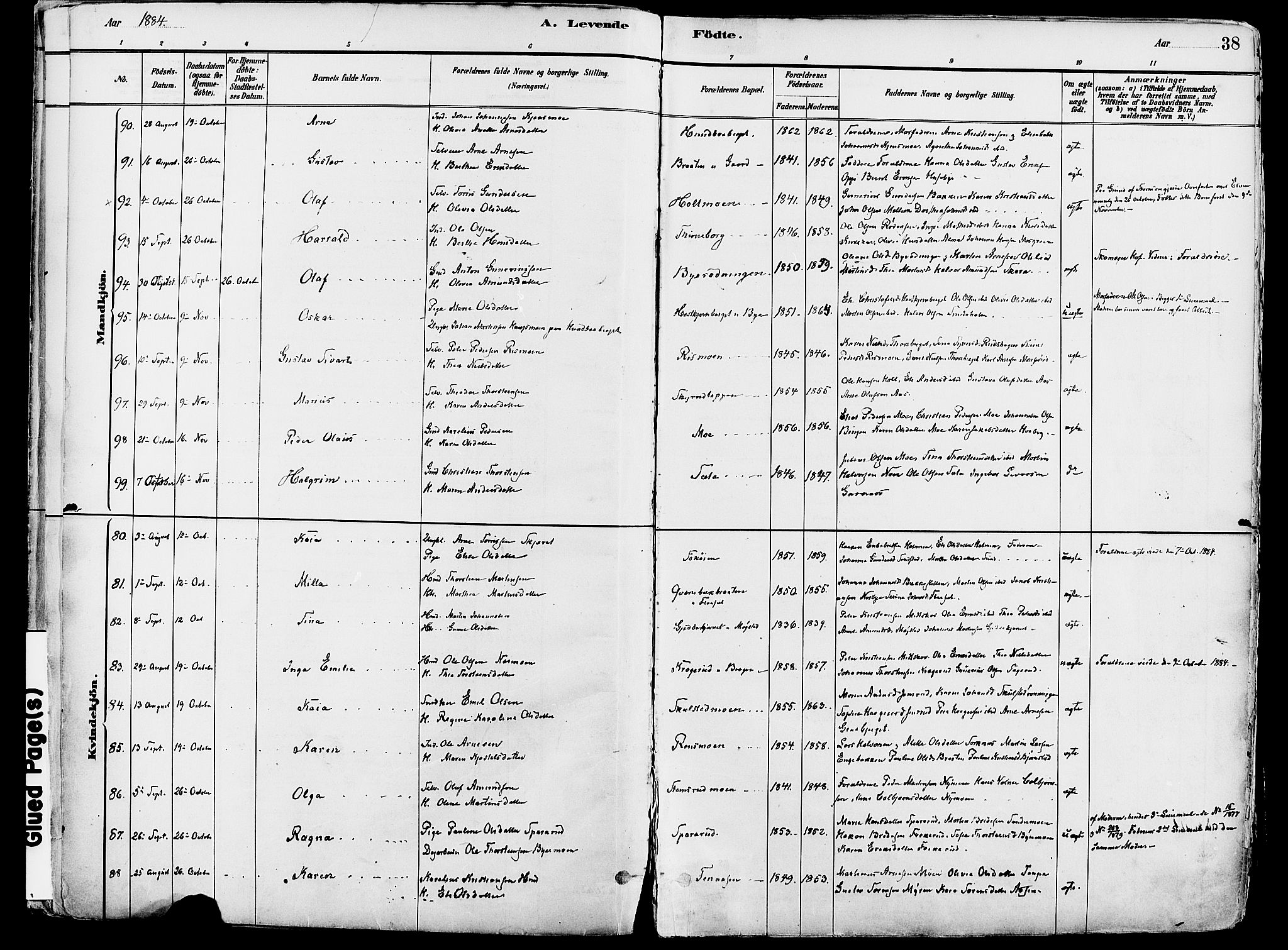 Grue prestekontor, AV/SAH-PREST-036/H/Ha/Haa/L0012: Ministerialbok nr. 12, 1881-1897, s. 38