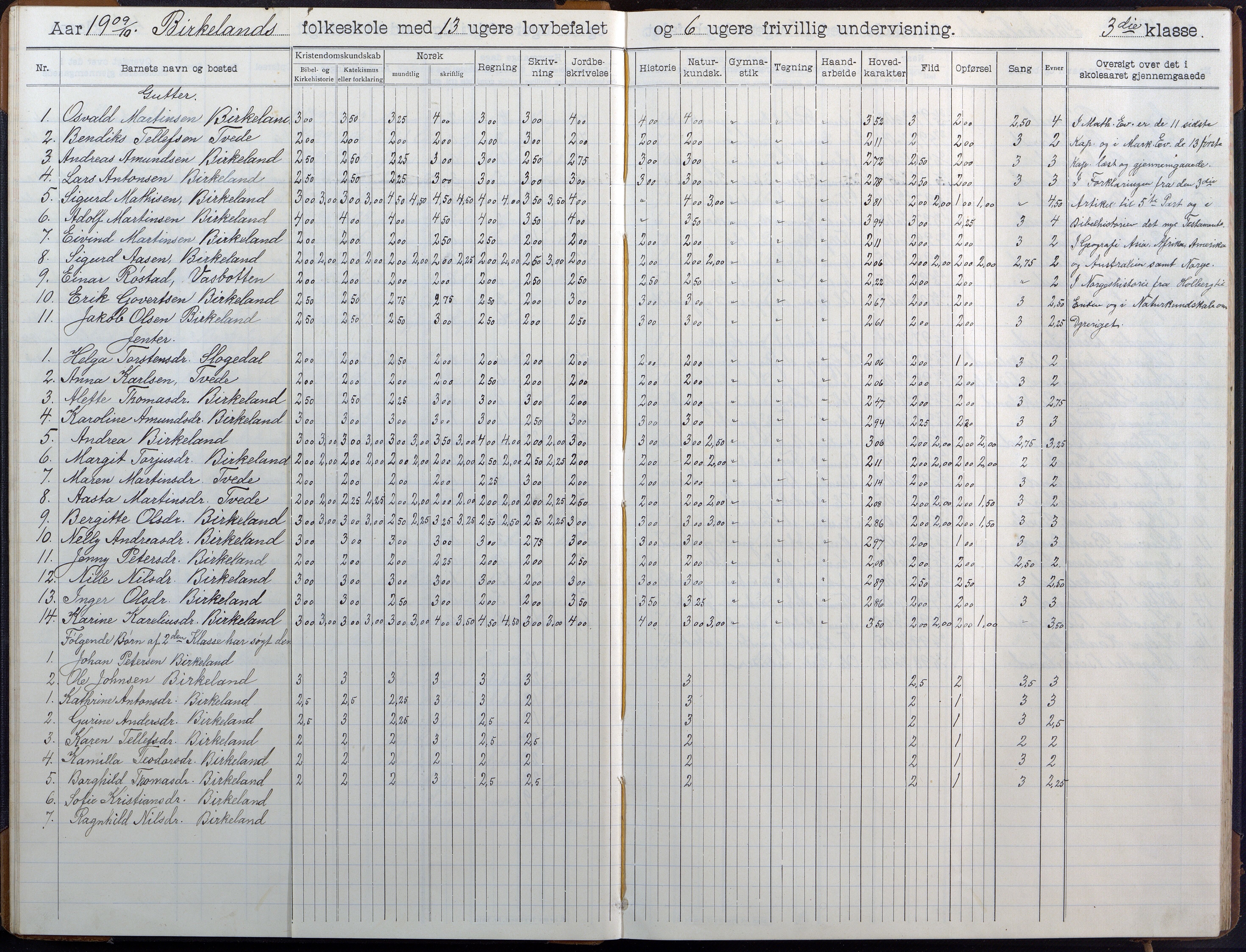 Birkenes kommune, Birkenes krets/Birkeland folkeskole frem til 1991, AAKS/KA0928-550a_91/F02/L0007: Skoleprotokoll, 1907-1931