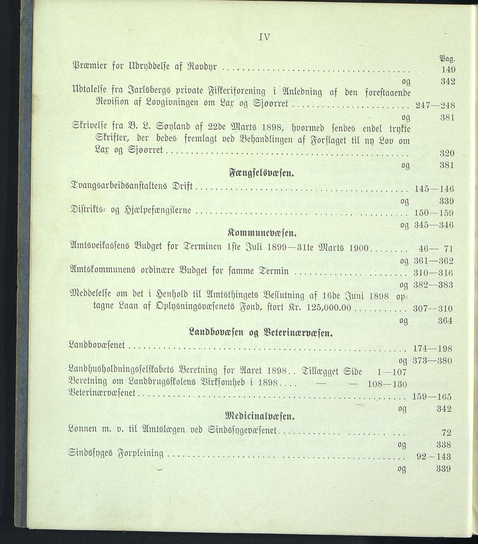 Vestfold fylkeskommune. Fylkestinget, VEMU/A-1315/A/Ab/Abb/L0046: Fylkestingsforhandlinger, 1899