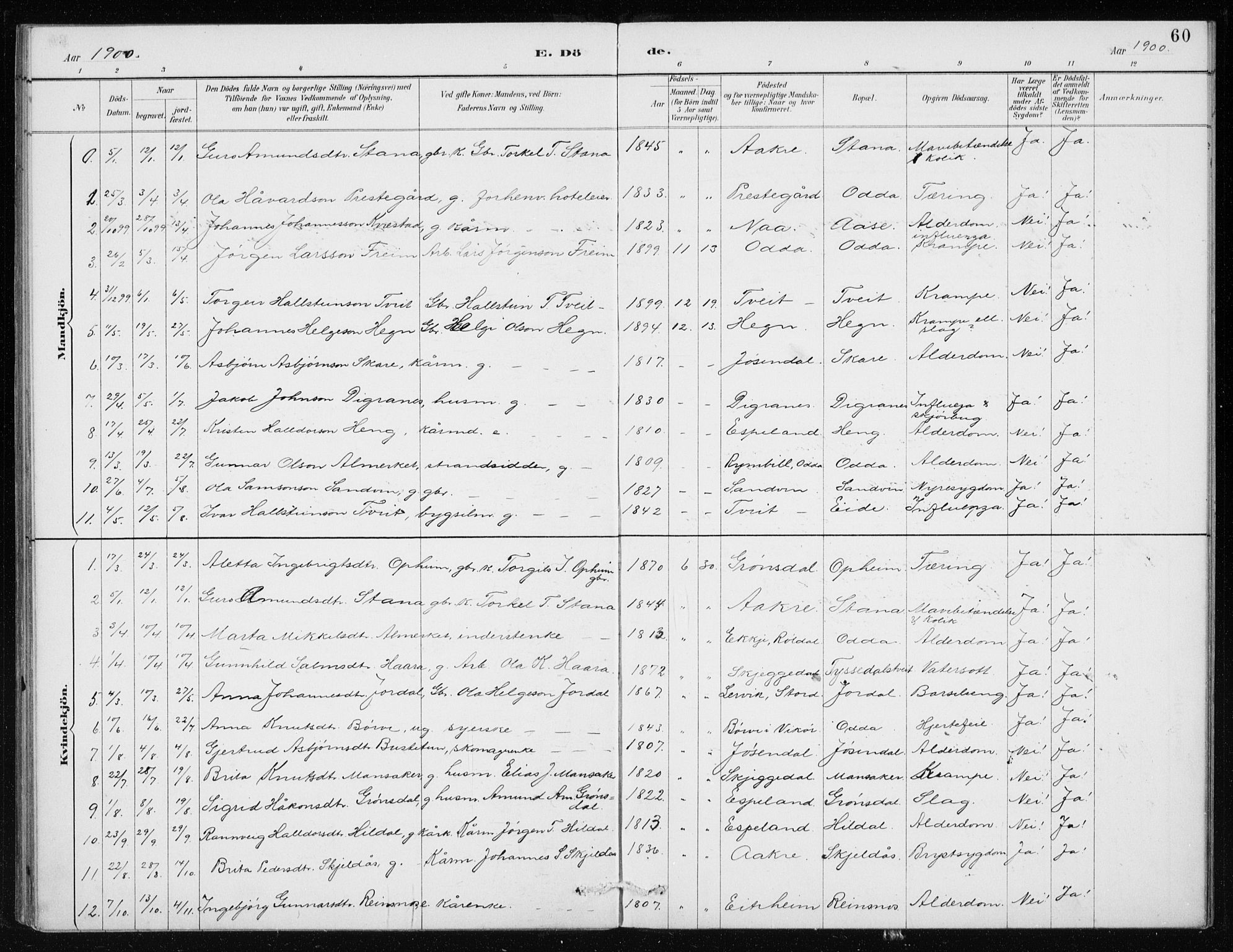 Odda Sokneprestembete, AV/SAB-A-77201/H/Haa: Ministerialbok nr. D 1, 1887-1914, s. 60