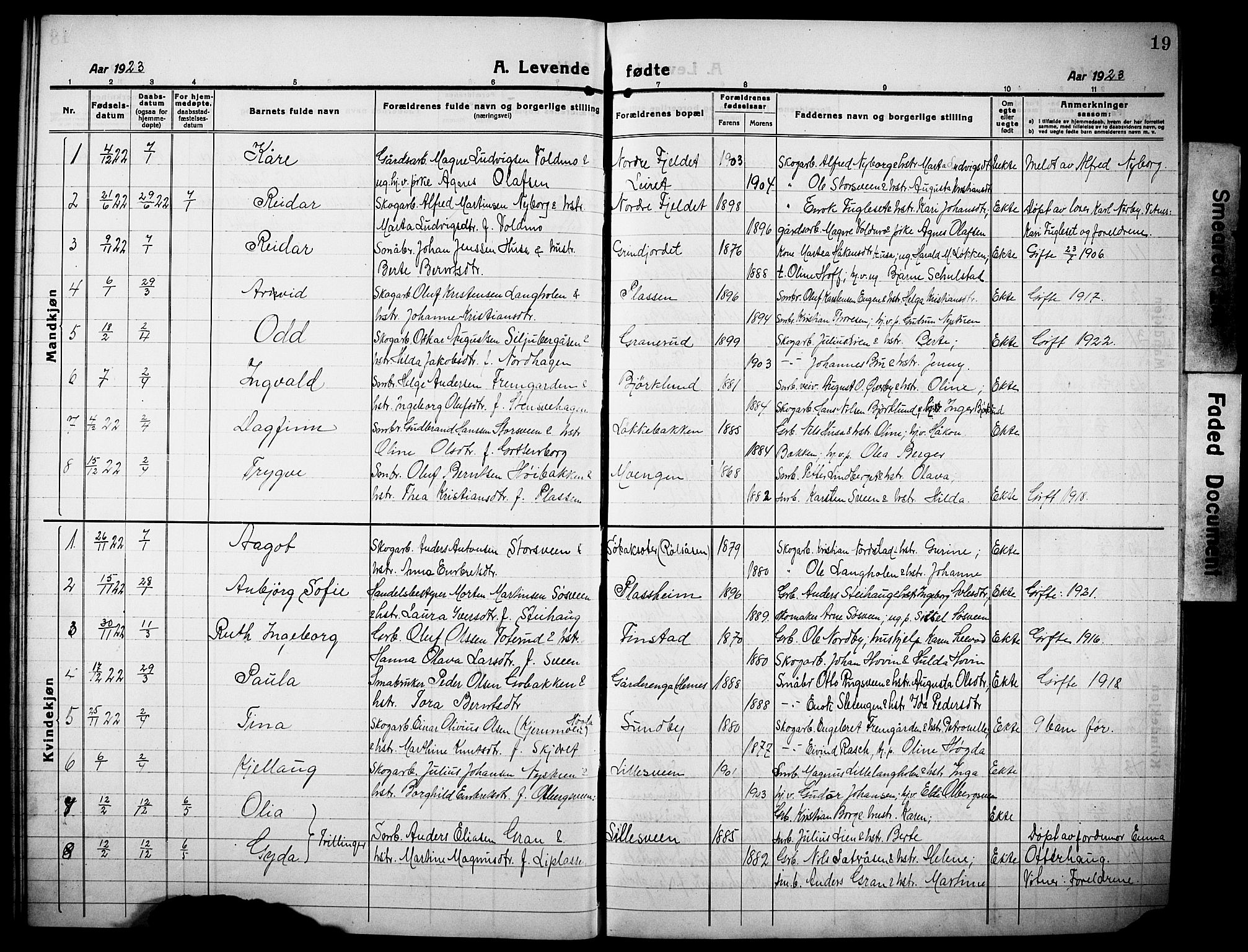 Elverum prestekontor, AV/SAH-PREST-044/H/Ha/Hab/L0013: Klokkerbok nr. 13, 1919-1933, s. 19
