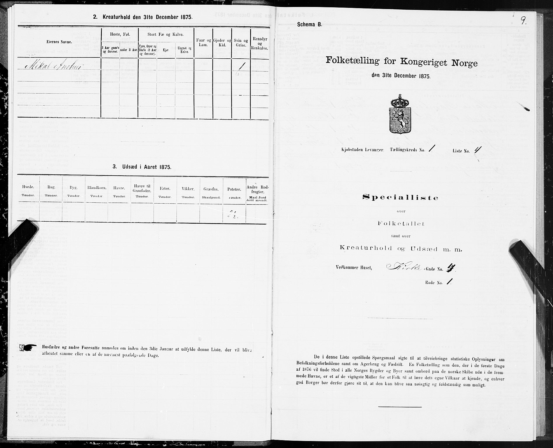 SAT, Folketelling 1875 for 1701B Levanger prestegjeld, Levanger kjøpstad, 1875, s. 9
