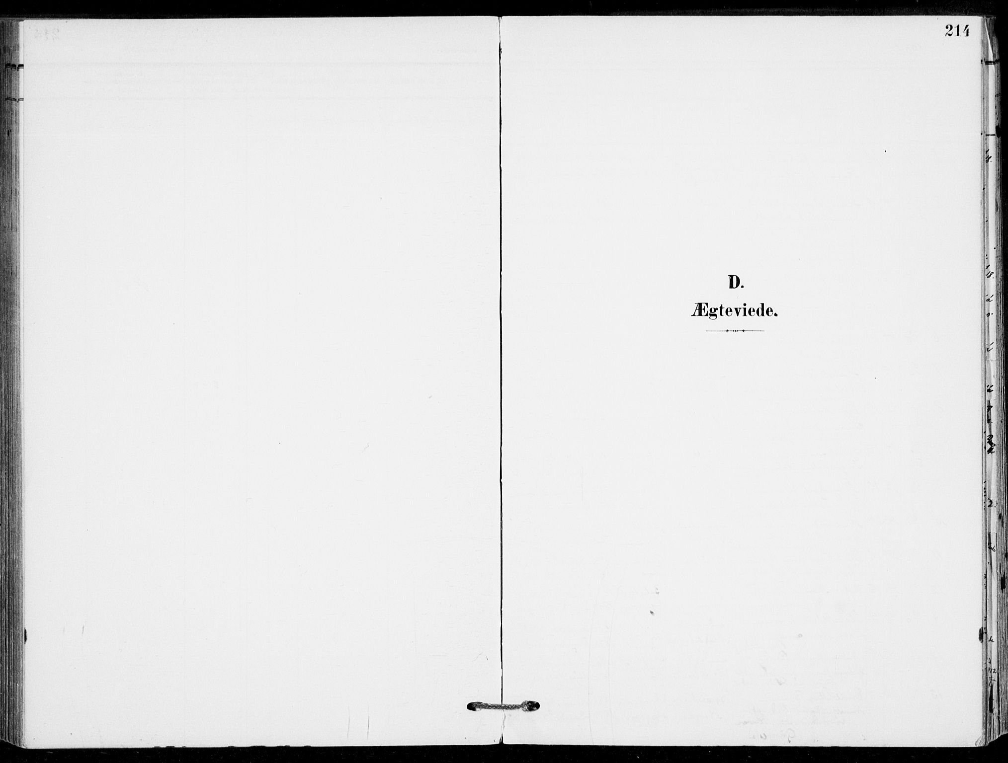 Sande Kirkebøker, AV/SAKO-A-53/F/Fa/L0008: Ministerialbok nr. 8, 1904-1921, s. 214