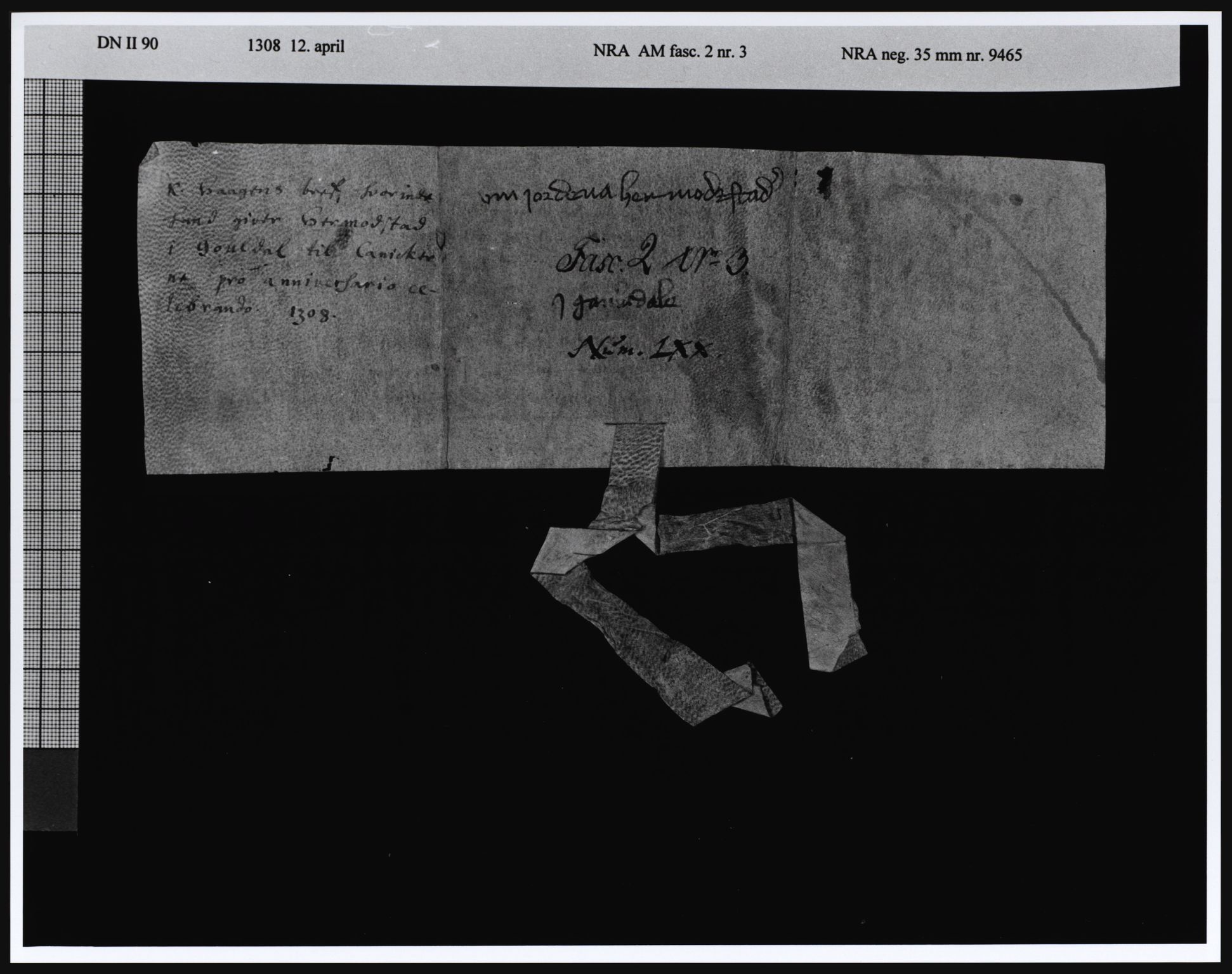 Riksarkivets diplomsamling, AV/RA-EA-5965/F05/L0005: NRA AM fasc. 2 nr. 3-6, 1308-1311, s. 5