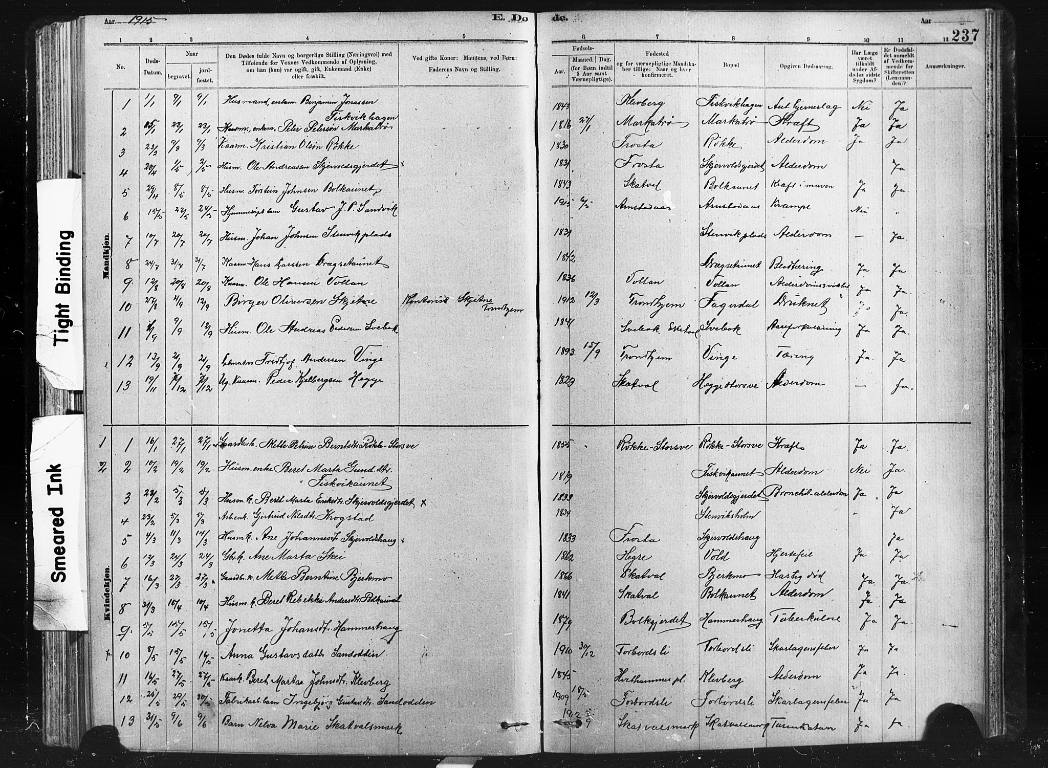 Ministerialprotokoller, klokkerbøker og fødselsregistre - Nord-Trøndelag, SAT/A-1458/712/L0103: Klokkerbok nr. 712C01, 1878-1917, s. 237