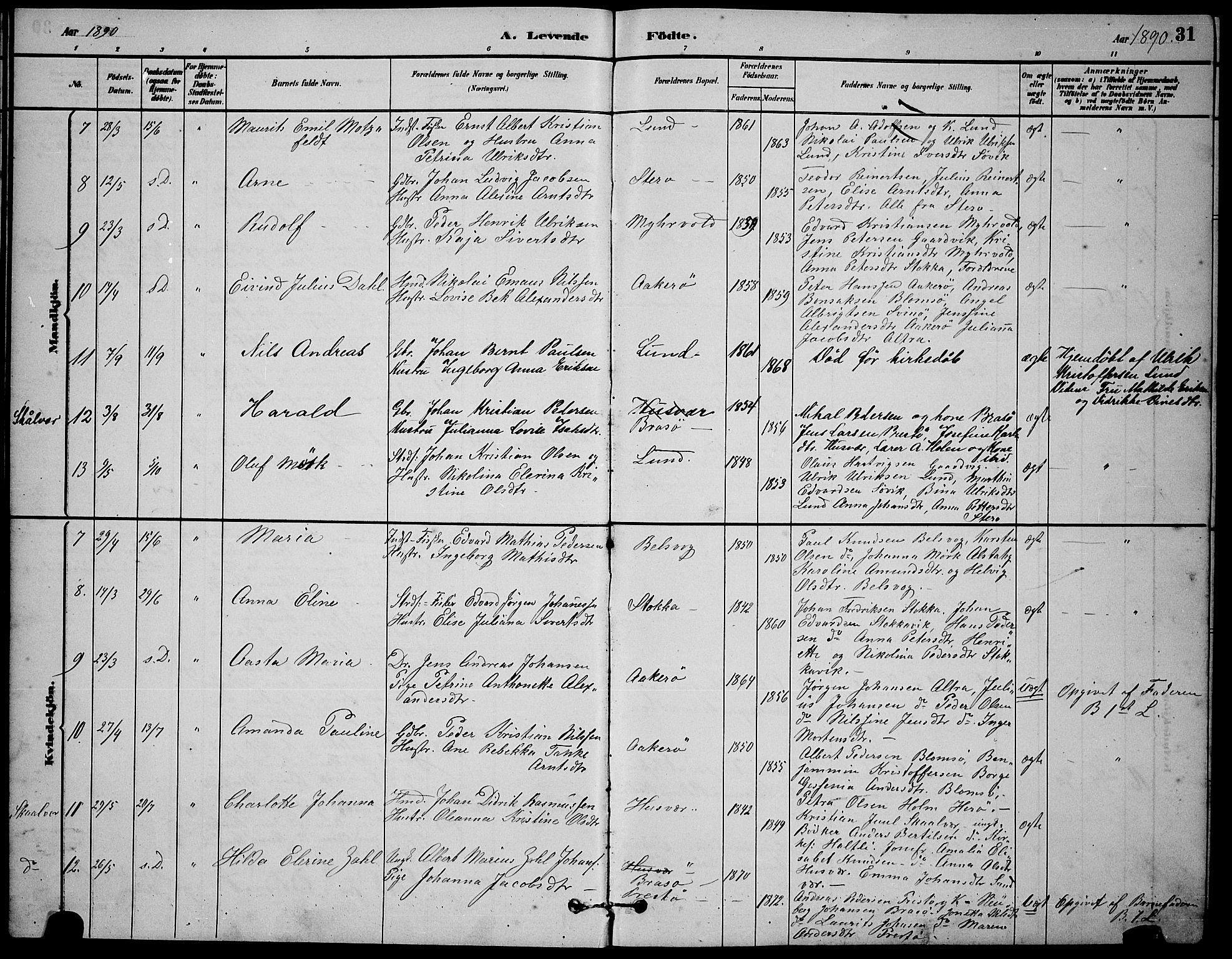 Ministerialprotokoller, klokkerbøker og fødselsregistre - Nordland, AV/SAT-A-1459/830/L0462: Klokkerbok nr. 830C04, 1882-1895, s. 31