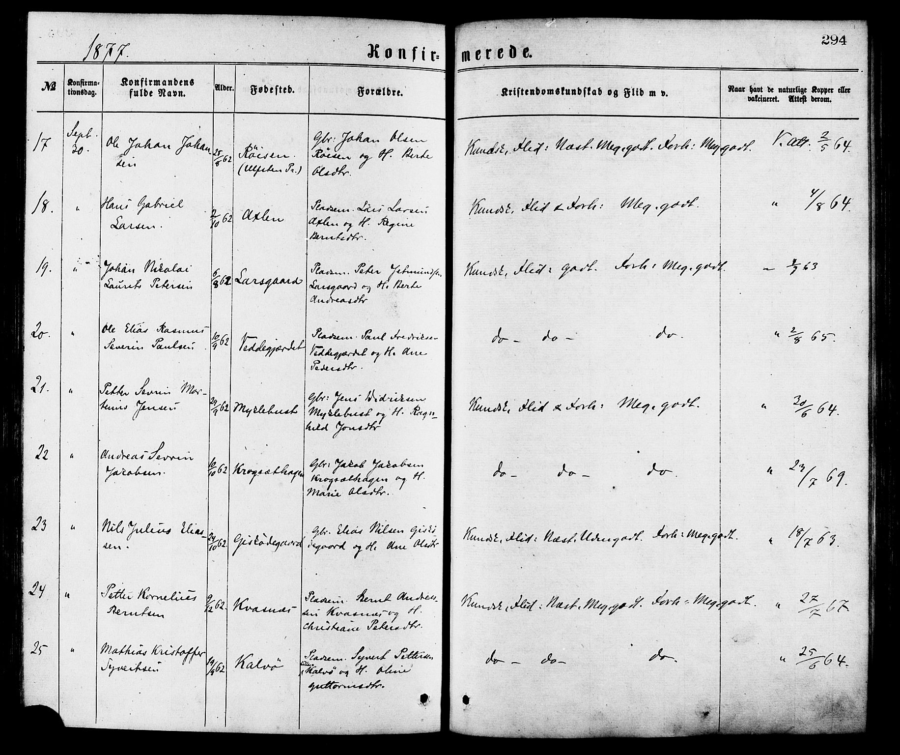 Ministerialprotokoller, klokkerbøker og fødselsregistre - Møre og Romsdal, AV/SAT-A-1454/528/L0400: Ministerialbok nr. 528A11, 1871-1879, s. 294