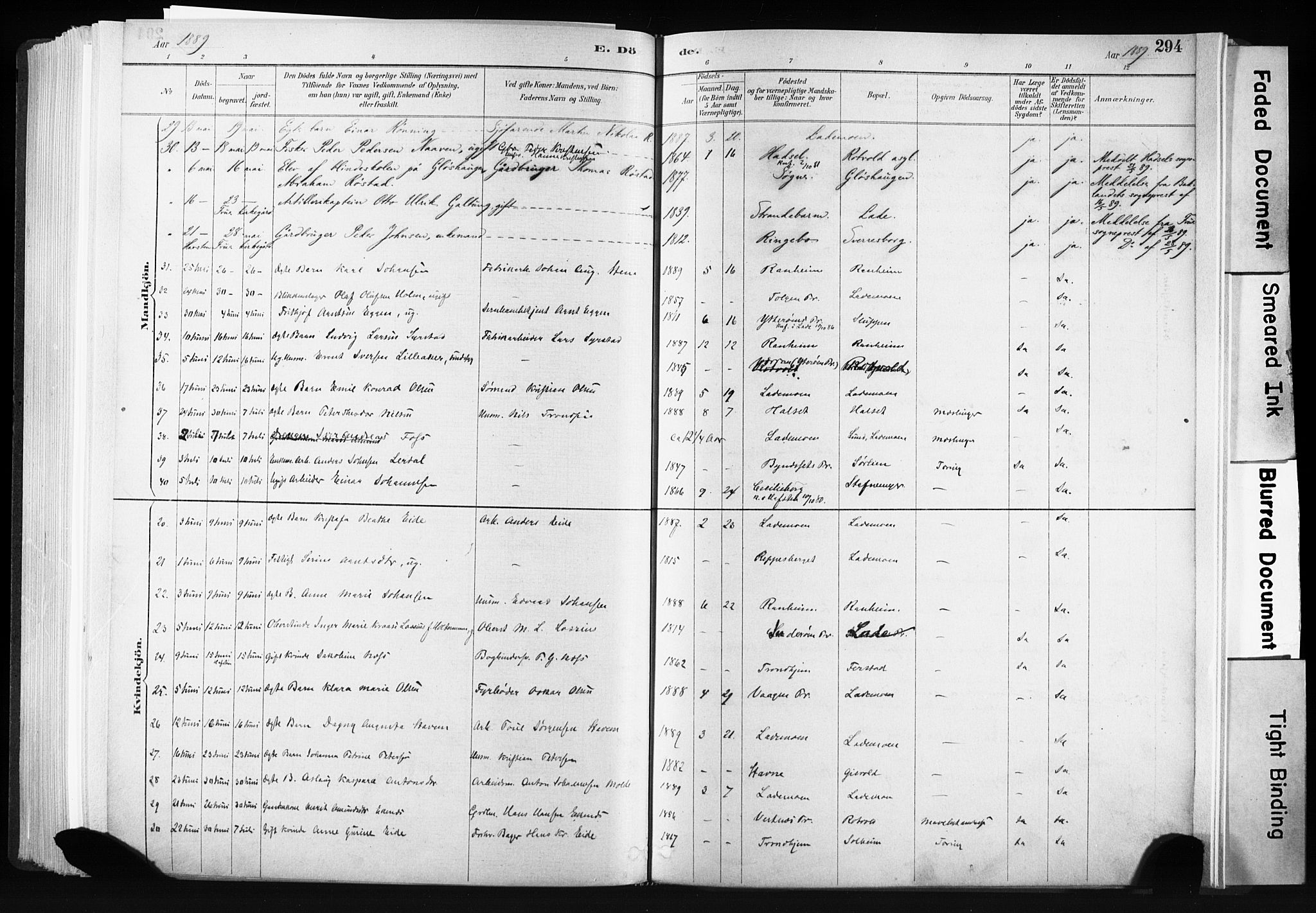 Ministerialprotokoller, klokkerbøker og fødselsregistre - Sør-Trøndelag, SAT/A-1456/606/L0300: Ministerialbok nr. 606A15, 1886-1893, s. 294