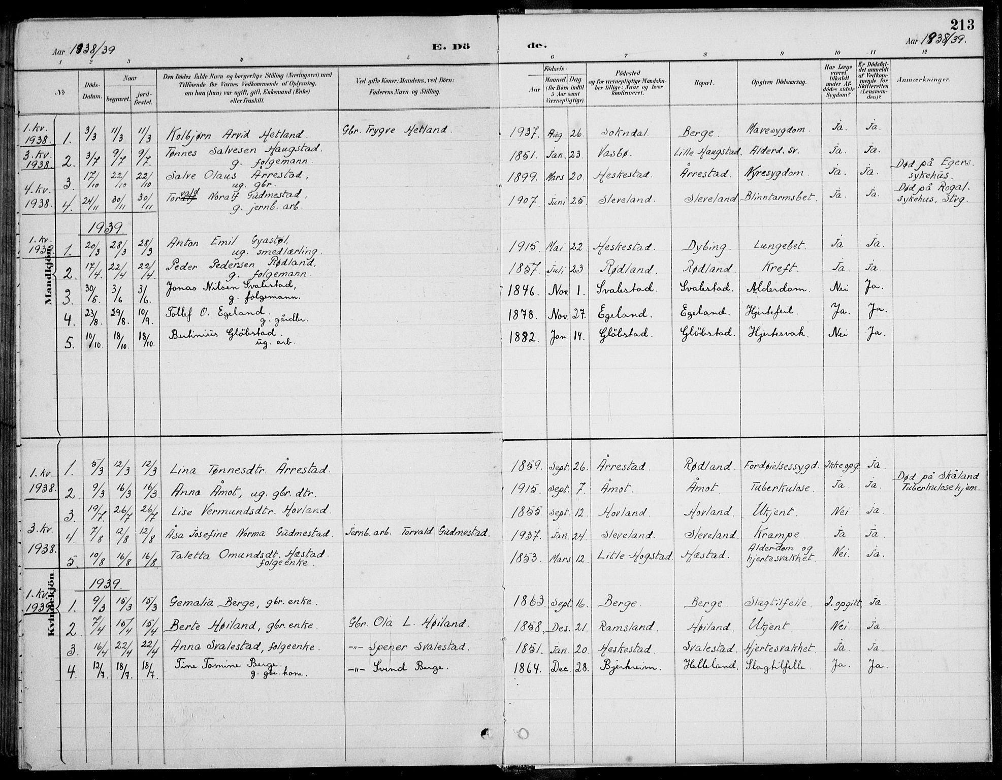 Helleland sokneprestkontor, AV/SAST-A-101810: Klokkerbok nr. B 4, 1887-1941, s. 213