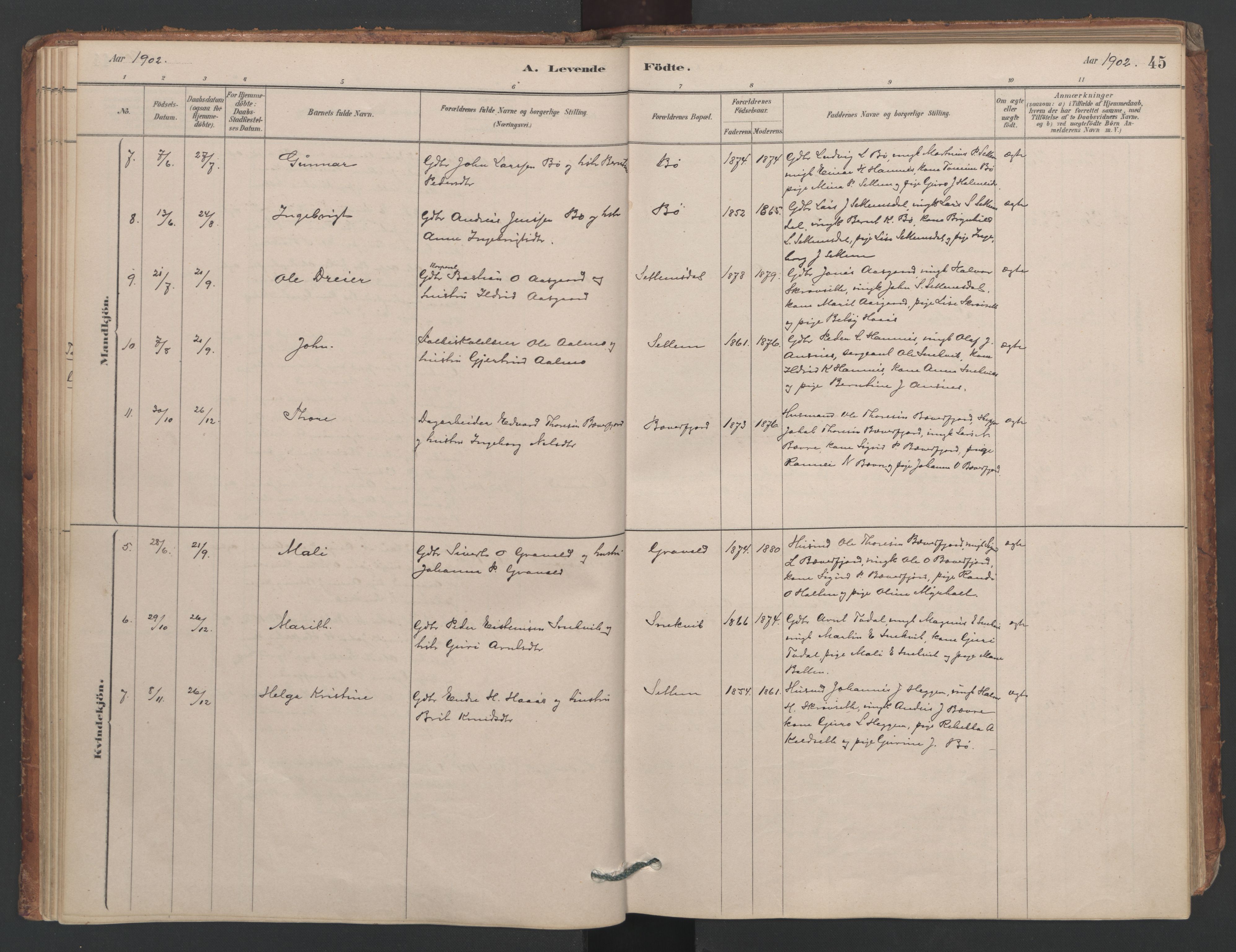 Ministerialprotokoller, klokkerbøker og fødselsregistre - Møre og Romsdal, AV/SAT-A-1454/594/L1036: Ministerialbok nr. 594A02 (?), 1879-1910, s. 45