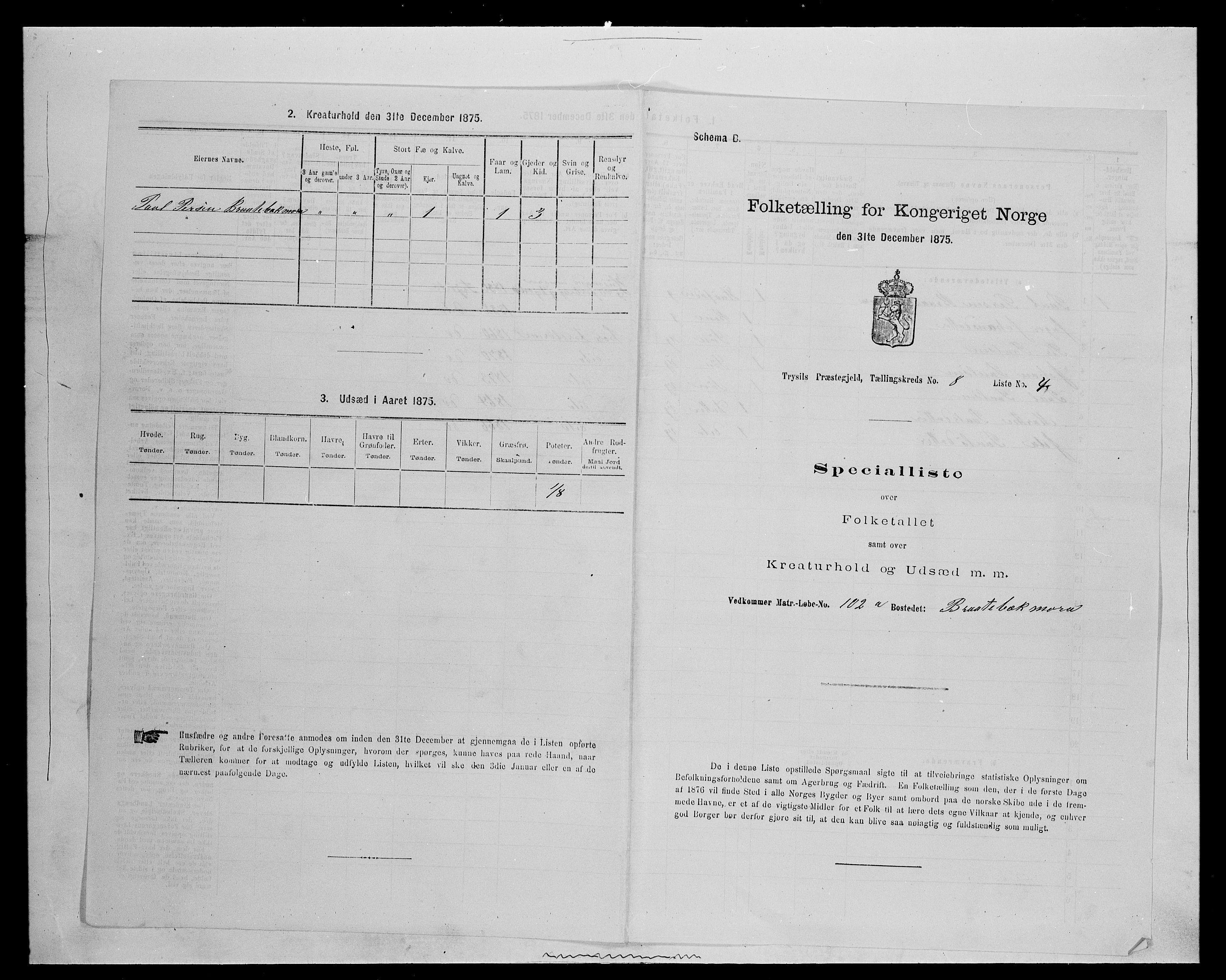 SAH, Folketelling 1875 for 0428P Trysil prestegjeld, 1875, s. 961