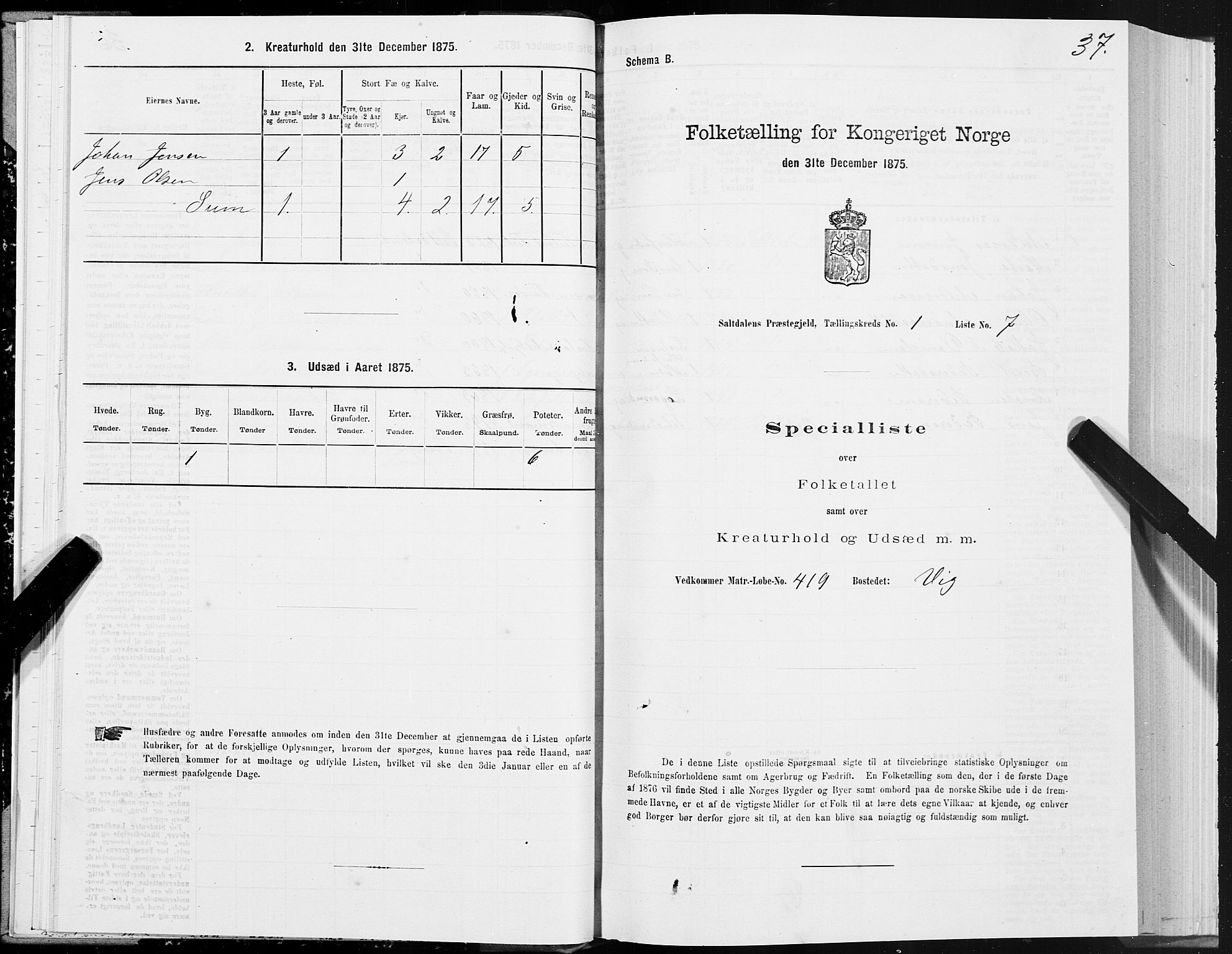 SAT, Folketelling 1875 for 1840P Saltdal prestegjeld, 1875, s. 1037