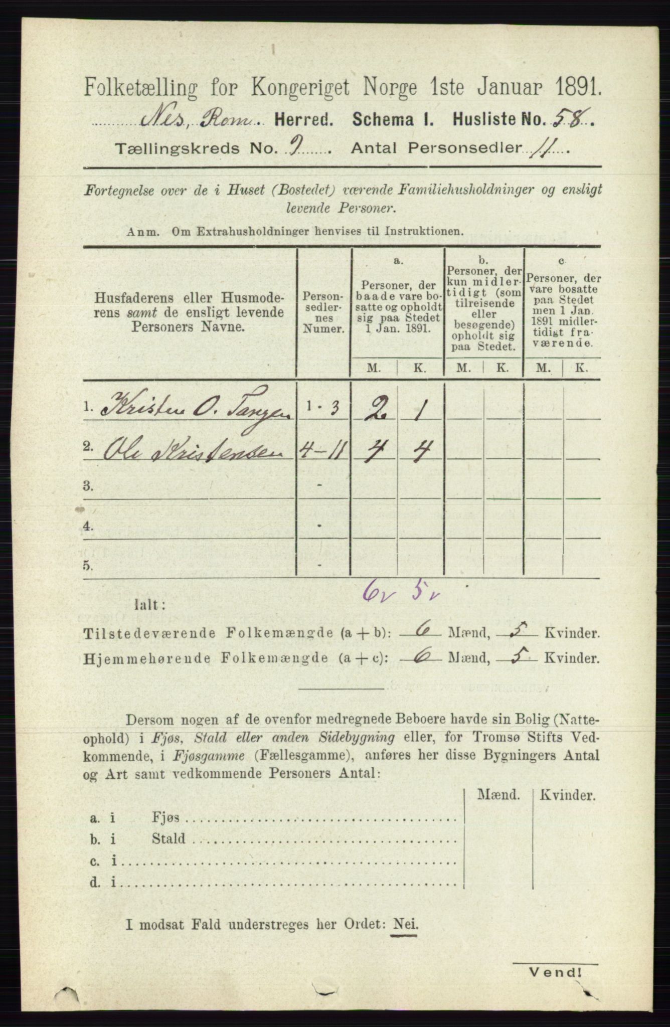 RA, Folketelling 1891 for 0236 Nes herred, 1891, s. 5244