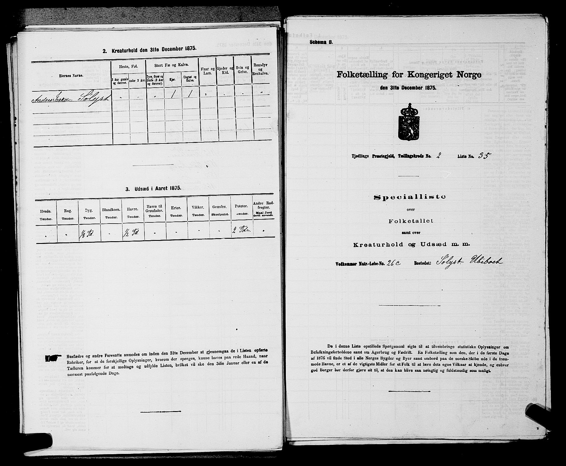 SAKO, Folketelling 1875 for 0725P Tjølling prestegjeld, 1875, s. 461