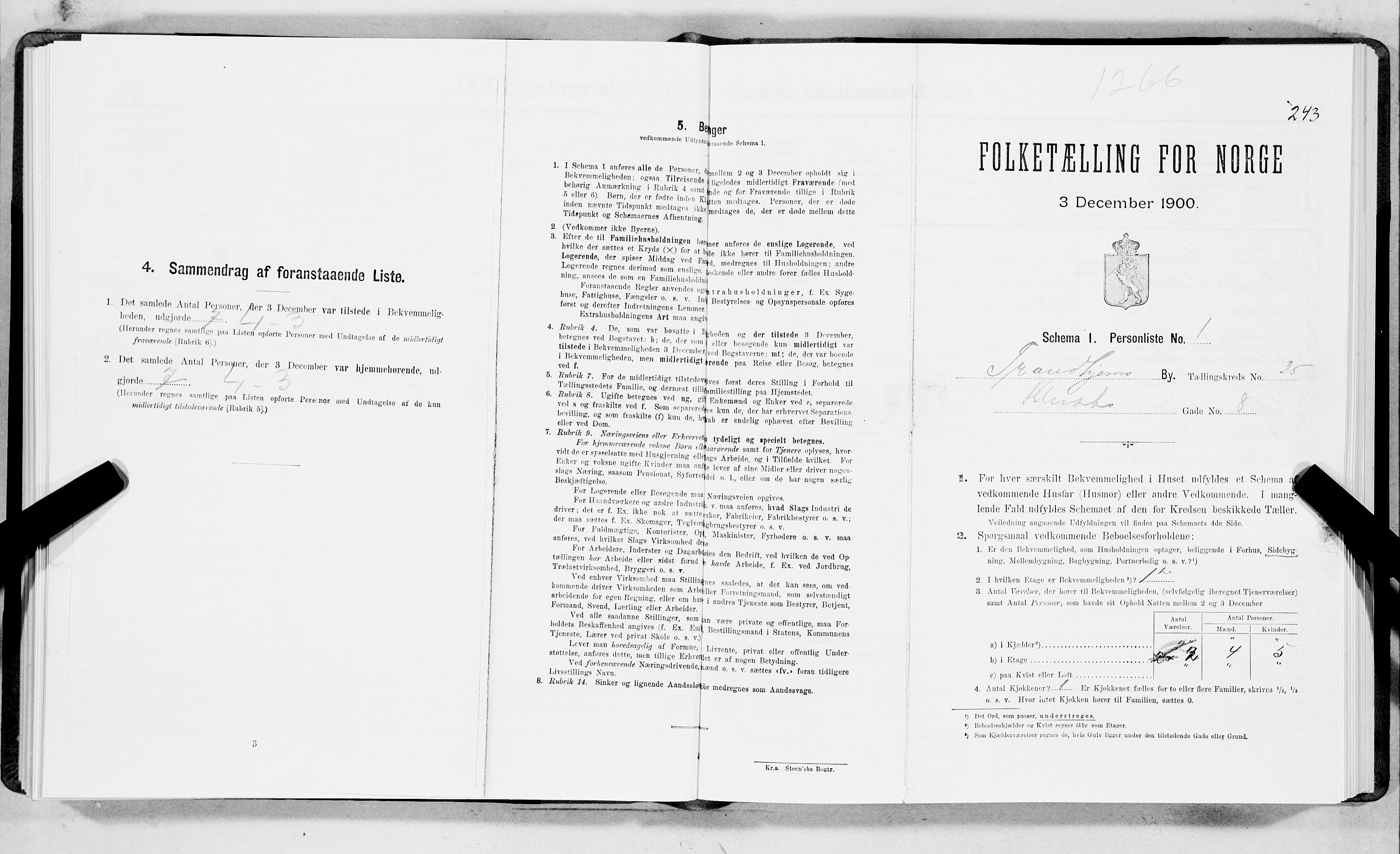 SAT, Folketelling 1900 for 1601 Trondheim kjøpstad, 1900, s. 6010