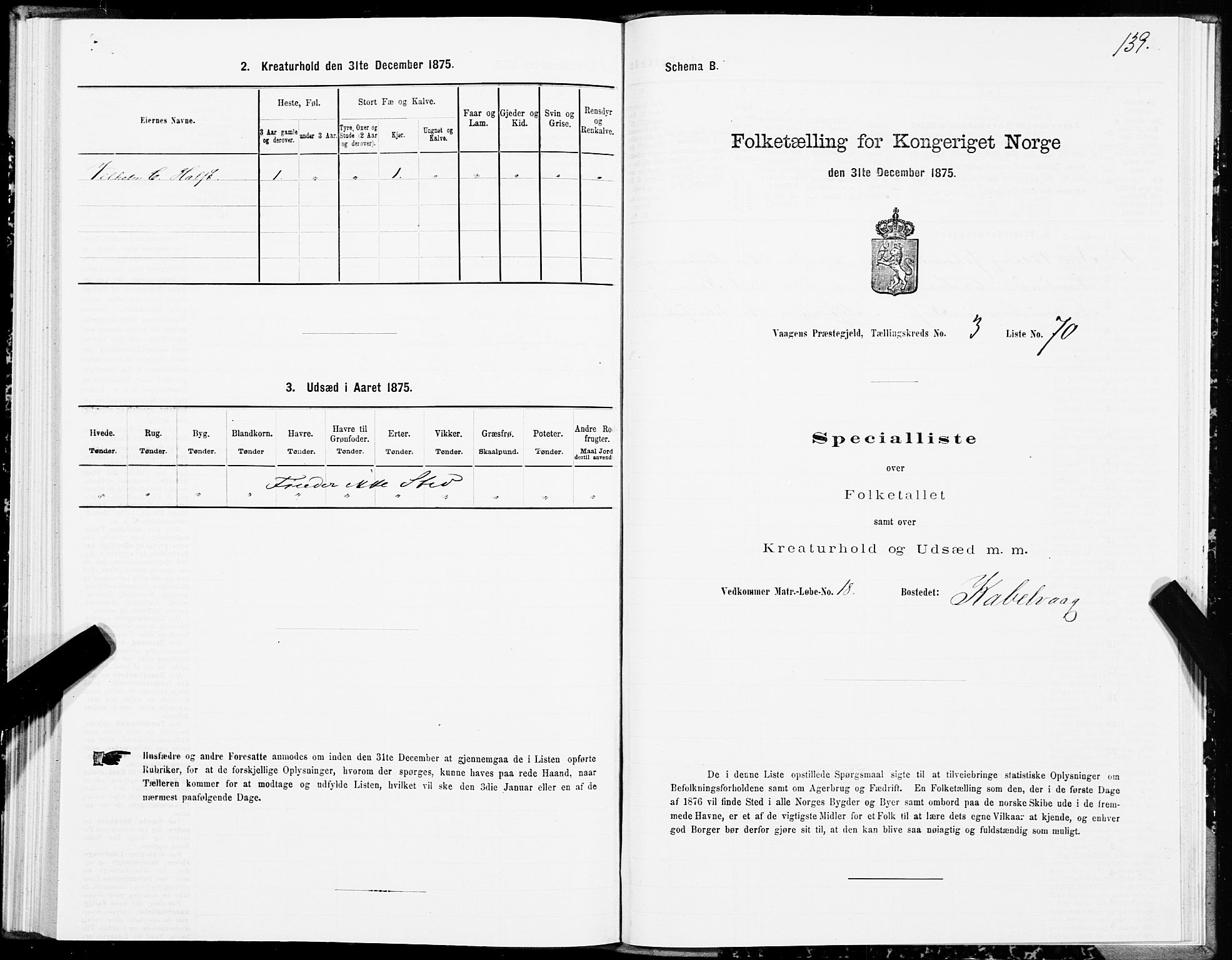 SAT, Folketelling 1875 for 1865P Vågan prestegjeld, 1875, s. 2139