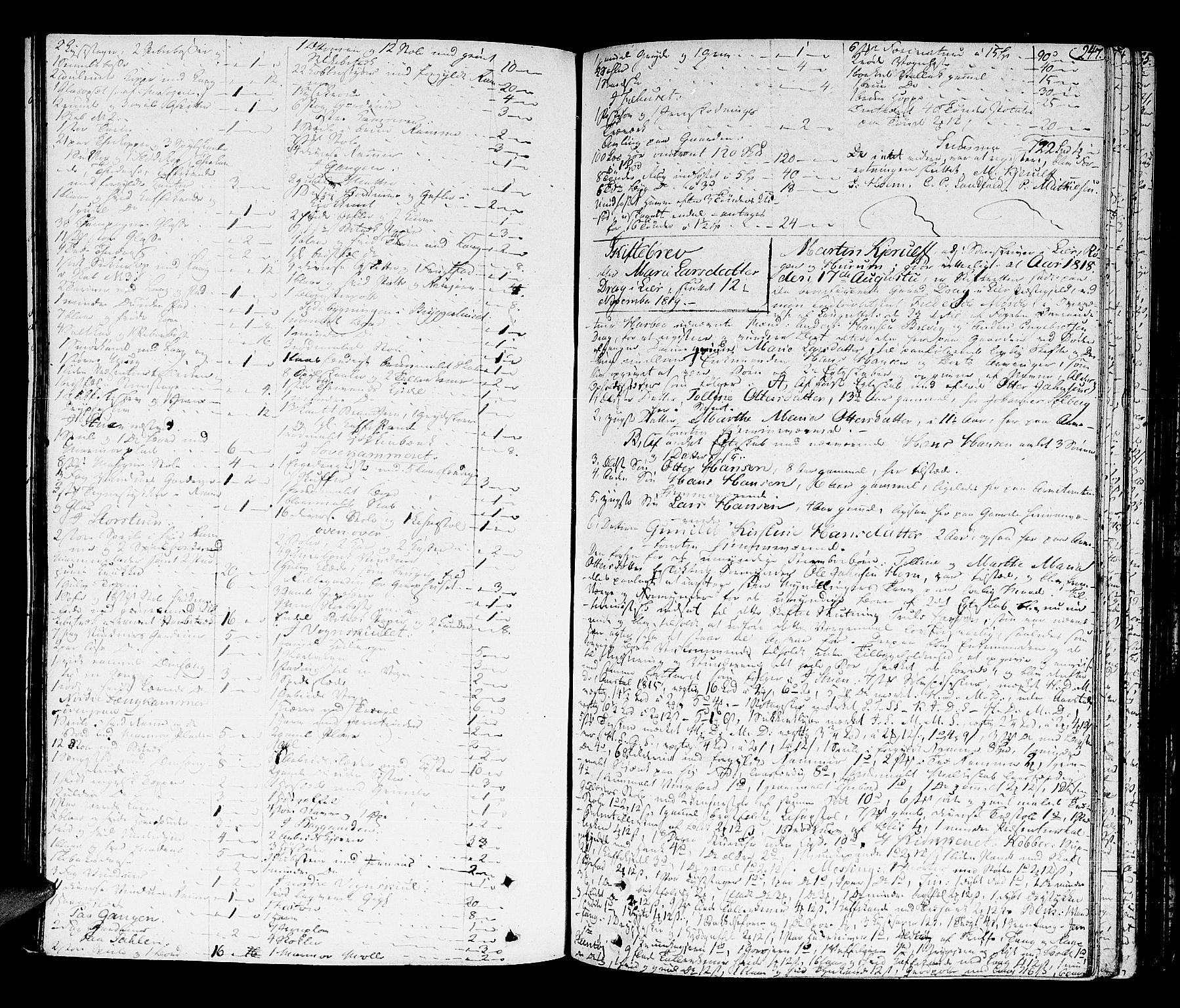 Lier, Røyken og Hurum sorenskriveri, AV/SAKO-A-89/H/Hc/L0010a: Skifteprotokoll, 1813-1835, s. 246b-247a