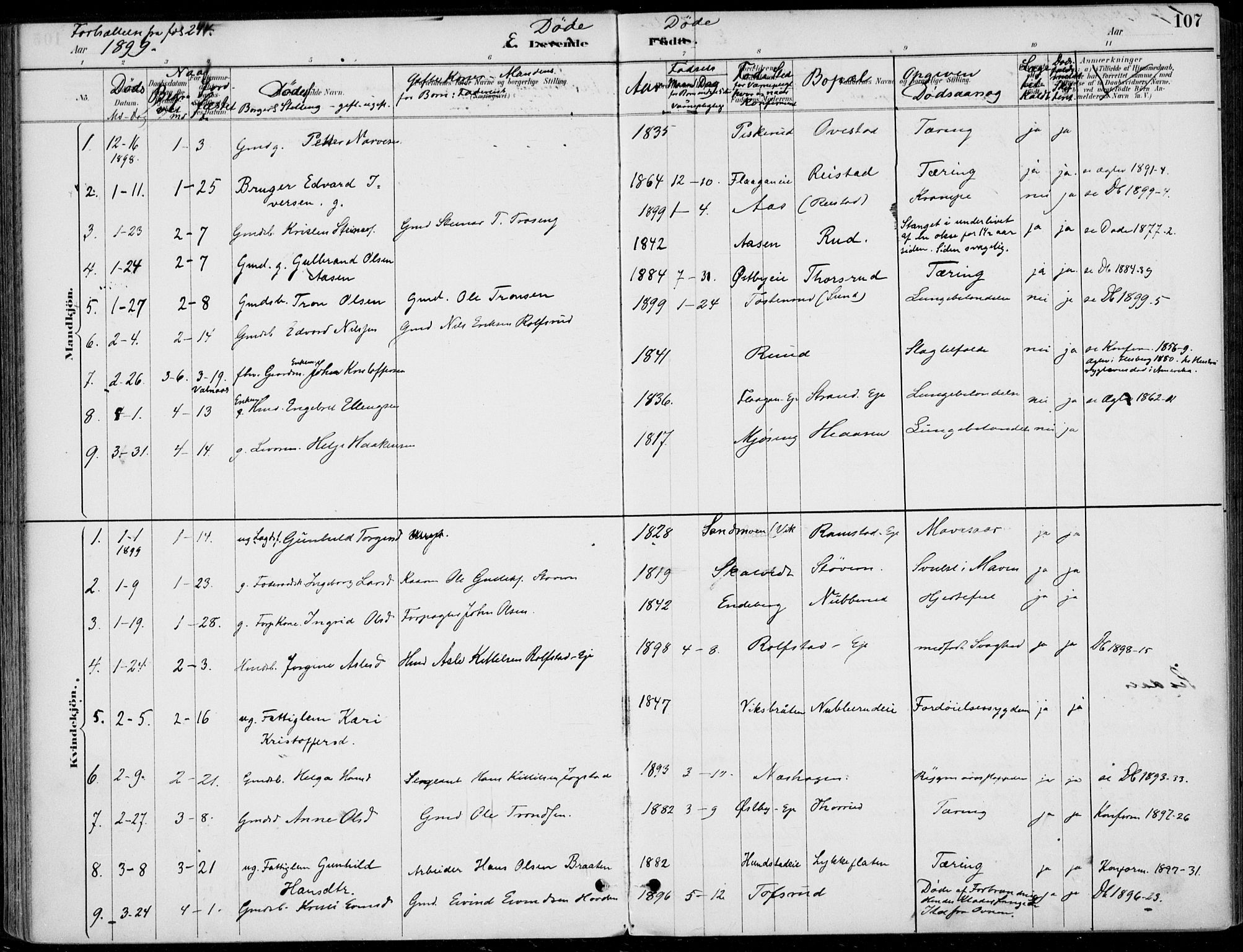 Sigdal kirkebøker, AV/SAKO-A-245/F/Fb/L0001: Ministerialbok nr. II 1, 1888-1900, s. 107