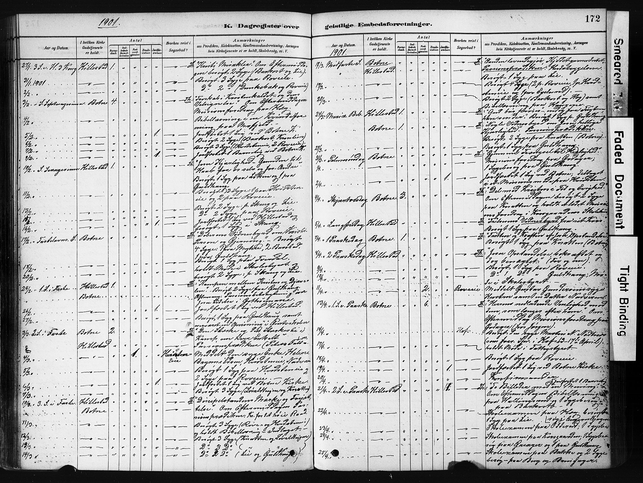 Botne kirkebøker, AV/SAKO-A-340/F/Fb/L0001: Ministerialbok nr. II 1, 1878-1902, s. 172