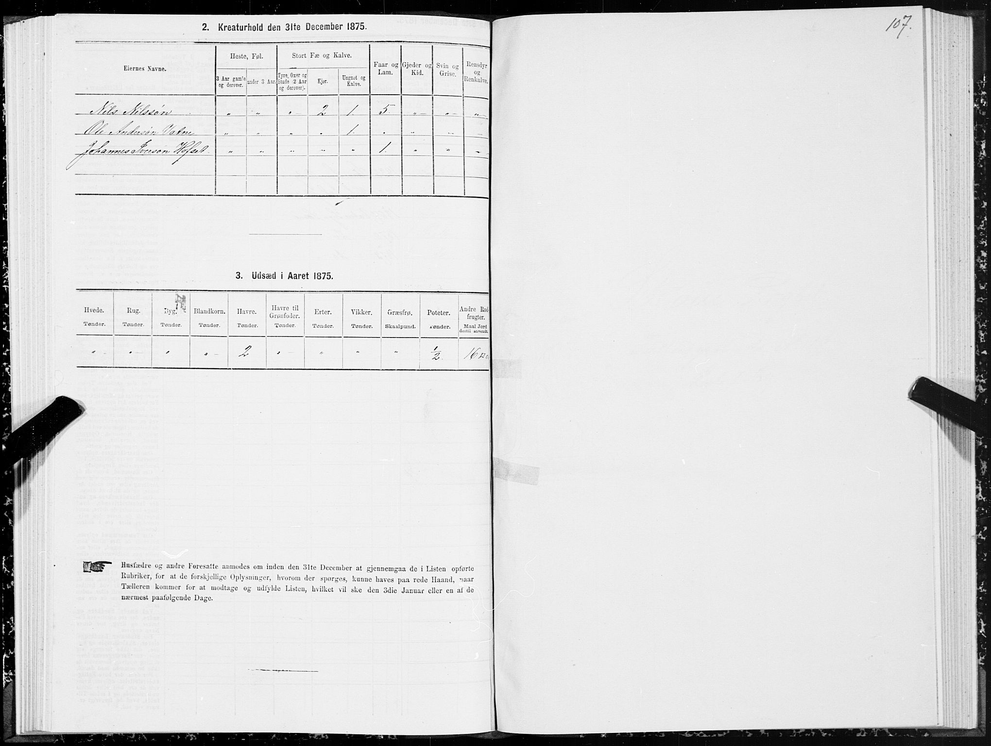 SAT, Folketelling 1875 for 1529P Skodje prestegjeld, 1875, s. 4107