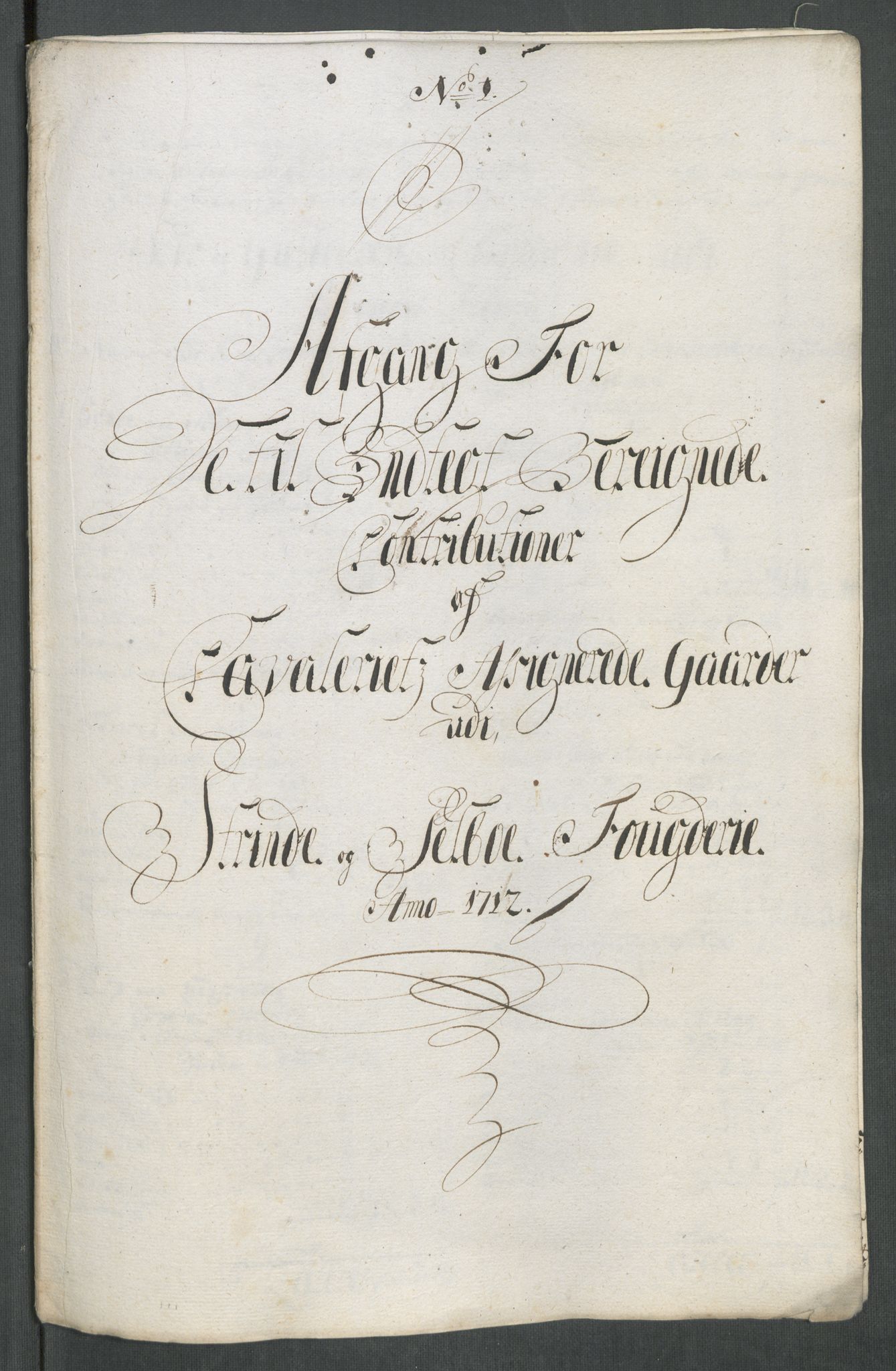 Rentekammeret inntil 1814, Reviderte regnskaper, Fogderegnskap, RA/EA-4092/R61/L4113: Fogderegnskap Strinda og Selbu, 1712-1713, s. 203