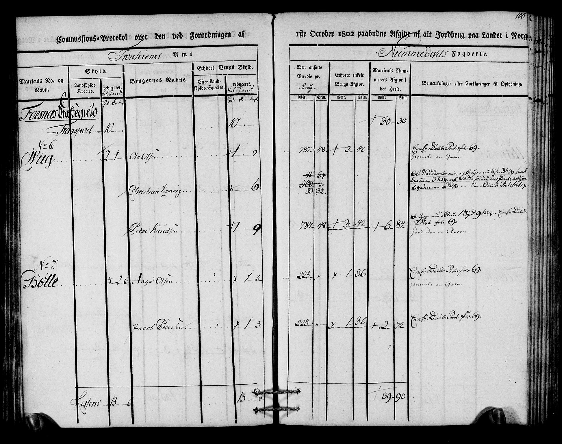 Rentekammeret inntil 1814, Realistisk ordnet avdeling, AV/RA-EA-4070/N/Ne/Nea/L0154: Namdalen fogderi. Kommisjonsprotokoll, 1803, s. 101