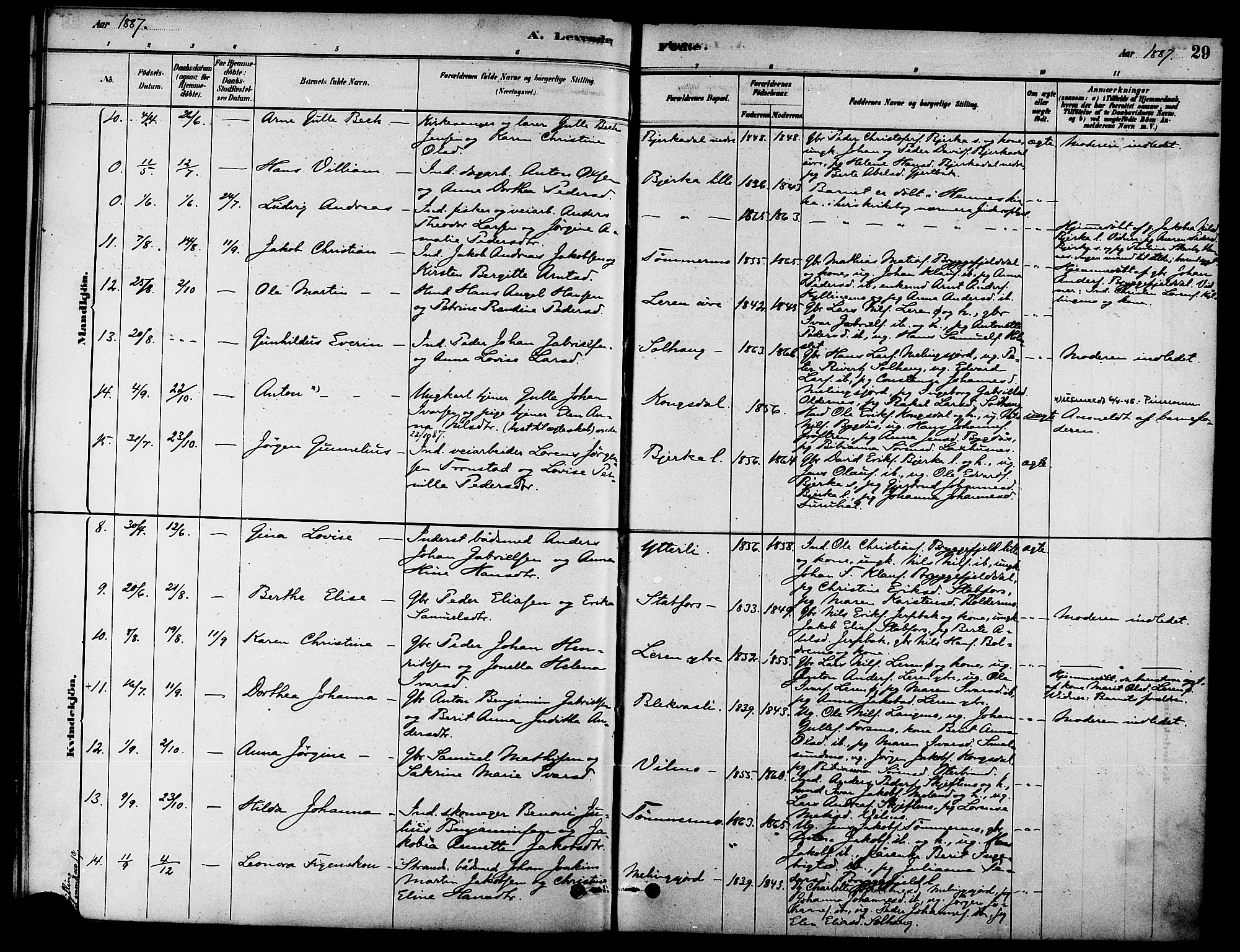 Ministerialprotokoller, klokkerbøker og fødselsregistre - Nordland, AV/SAT-A-1459/826/L0379: Ministerialbok nr. 826A02, 1878-1895, s. 29
