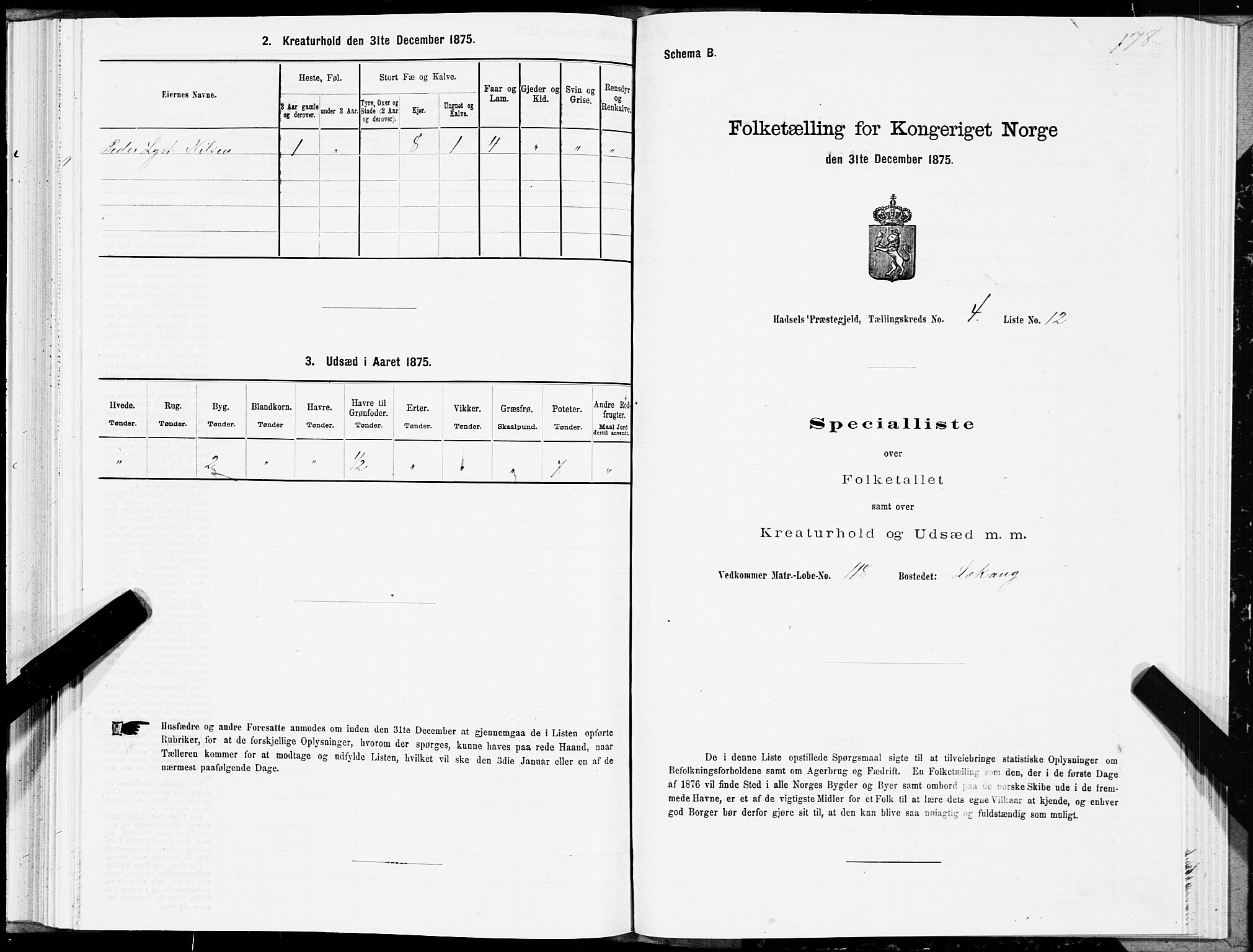 SAT, Folketelling 1875 for 1866P Hadsel prestegjeld, 1875, s. 2178