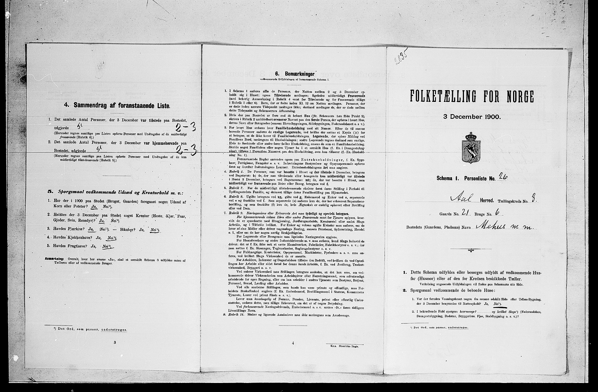 RA, Folketelling 1900 for 0619 Ål herred, 1900, s. 336