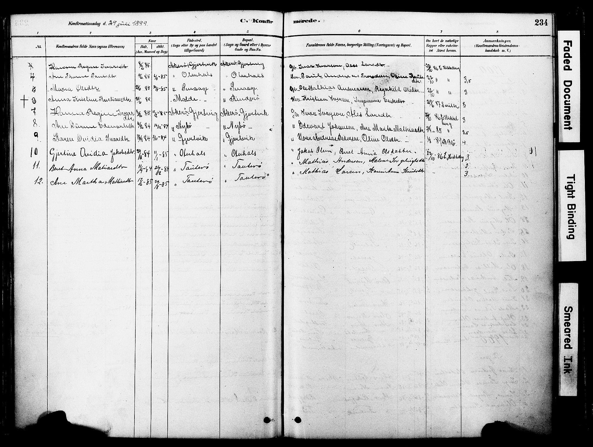 Ministerialprotokoller, klokkerbøker og fødselsregistre - Møre og Romsdal, AV/SAT-A-1454/560/L0721: Ministerialbok nr. 560A05, 1878-1917, s. 234