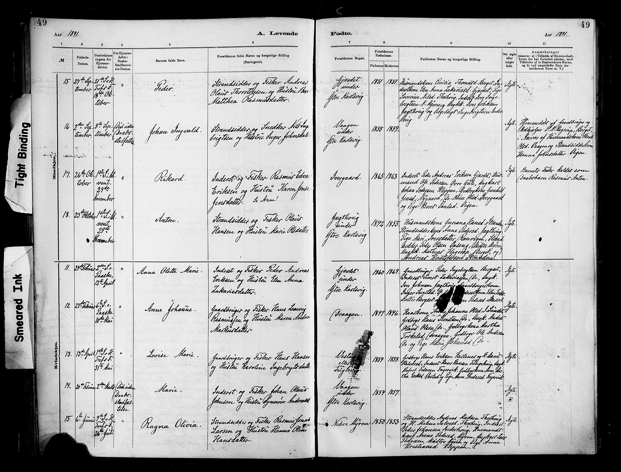 Ministerialprotokoller, klokkerbøker og fødselsregistre - Møre og Romsdal, AV/SAT-A-1454/566/L0769: Ministerialbok nr. 566A08, 1881-1903, s. 49